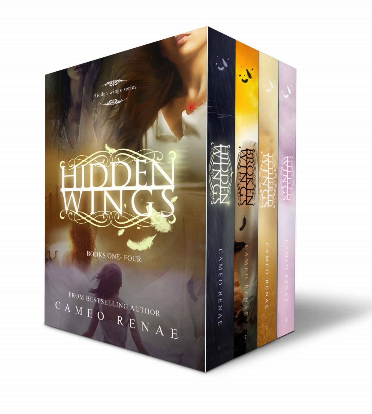Hidden Wings Box Set Books 14 With Bonus Novella Hidden Wings Series Collection Cameo Renae Renae