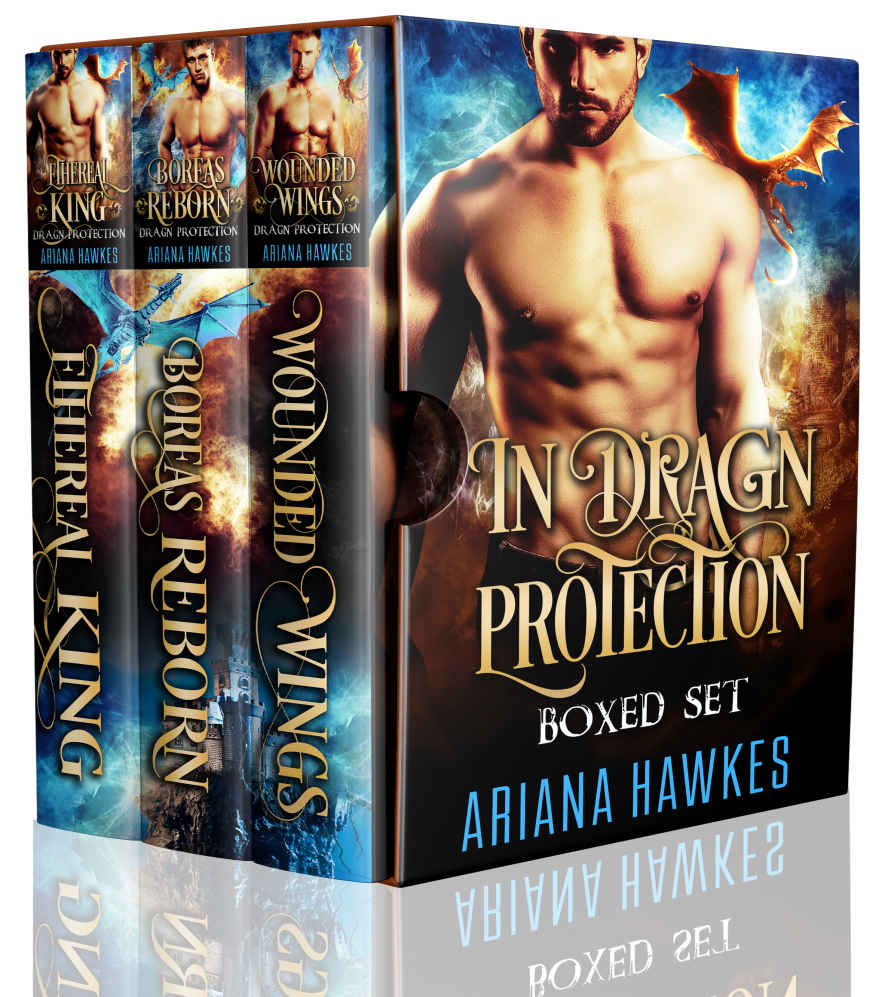 In Dragn Protection Boxed Set Books 13 Ariana Hawkes