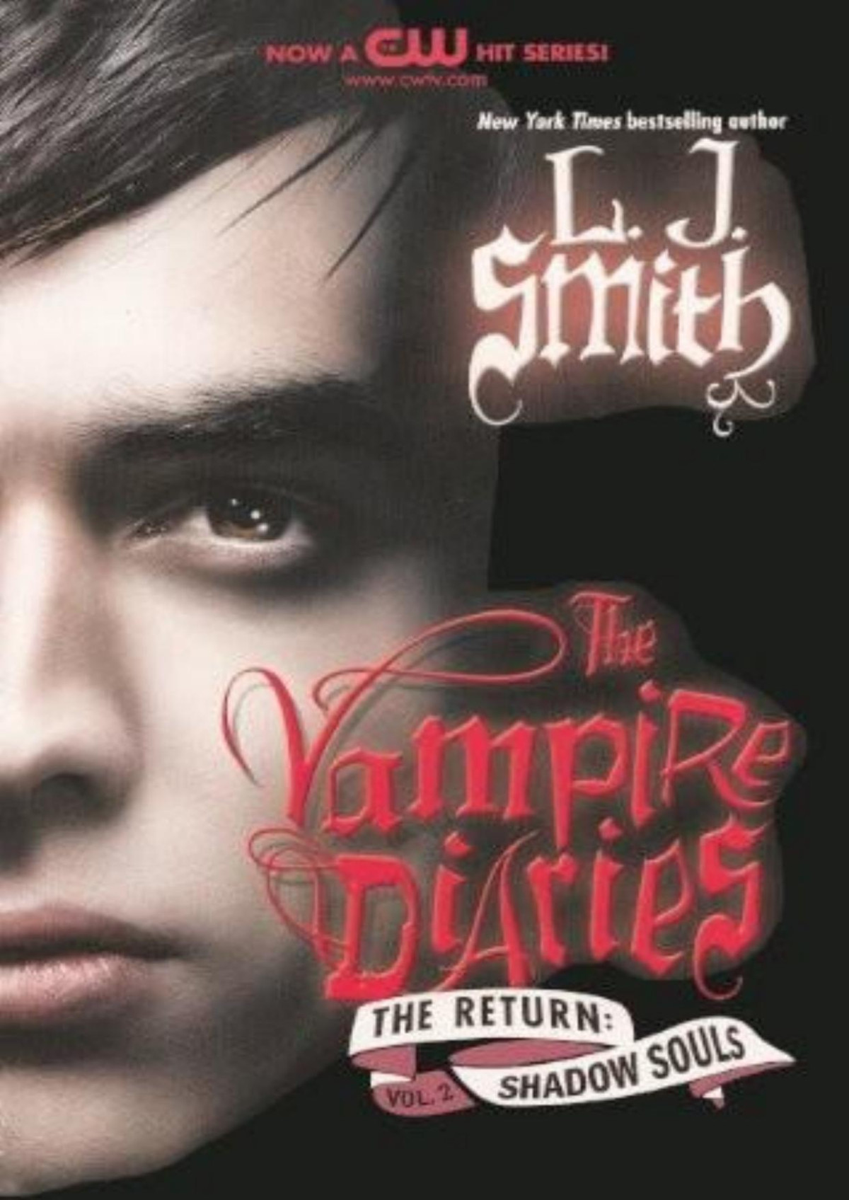 Vd 06 Shadow Souls L J Smith Smith L J