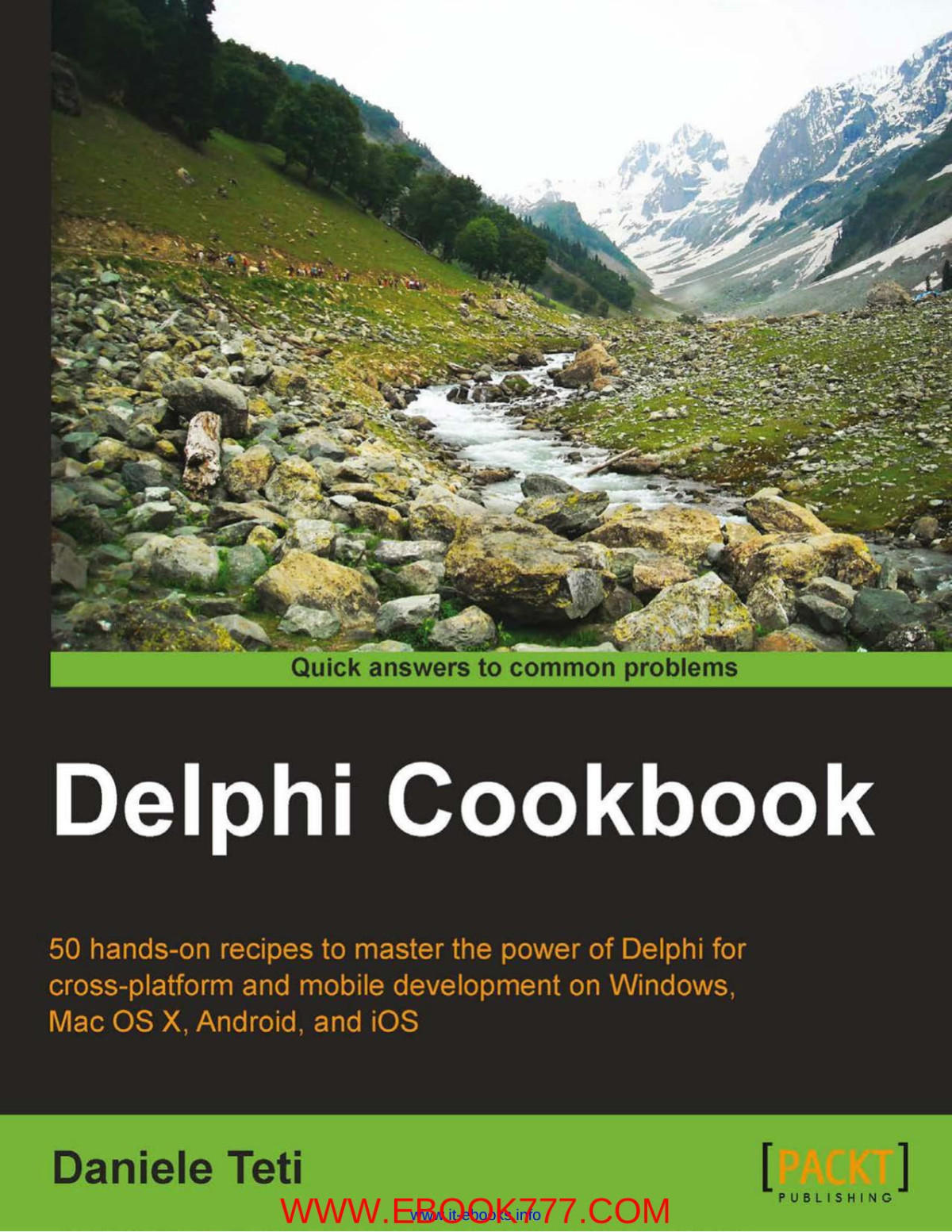 Delphi Cookbook 1st Edition Daniele Teti