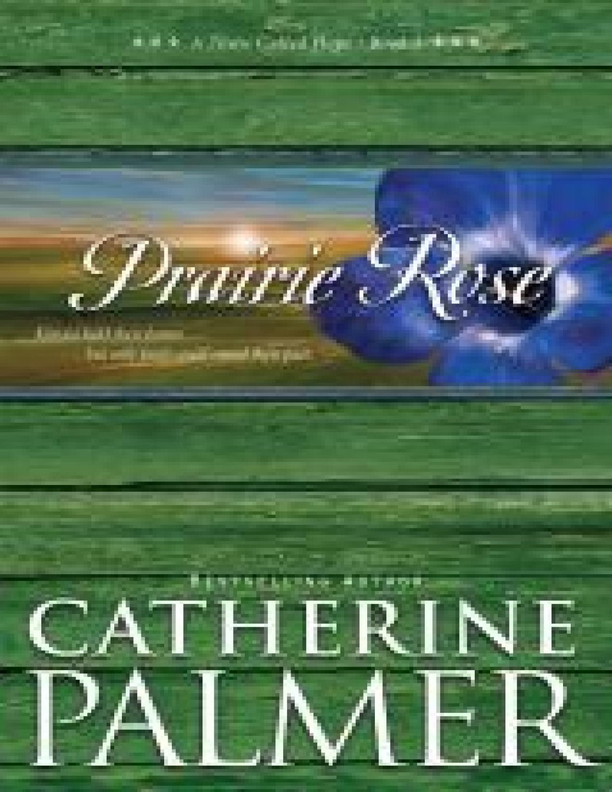 Prairie Rose A Town Called Hope Book 1 Palmer Catherine