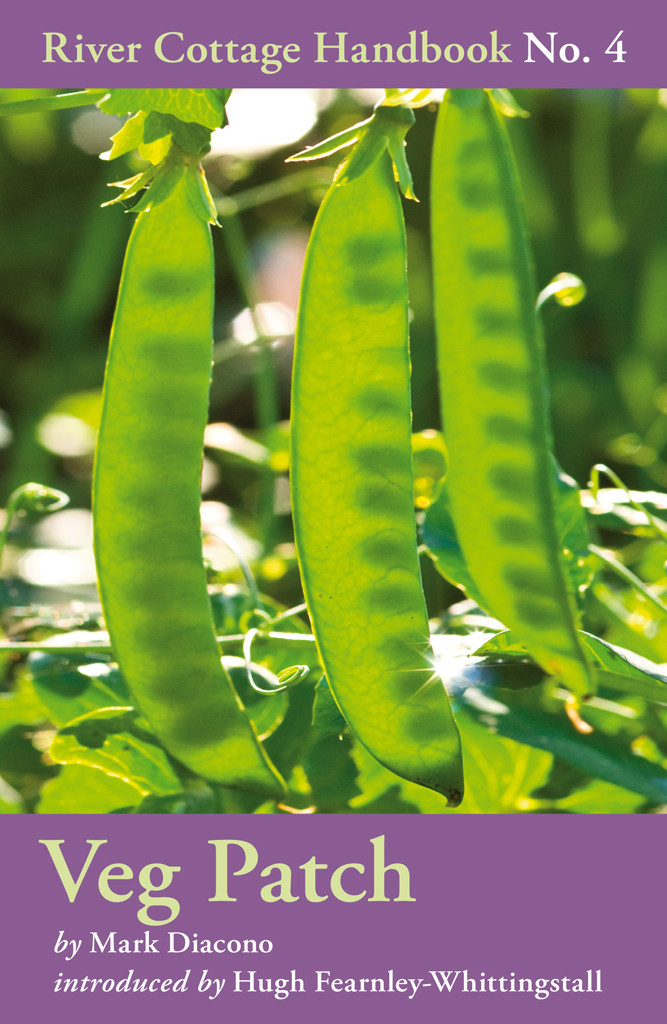 River Cottage Handbook 4 Veg Patch Mark Diacono