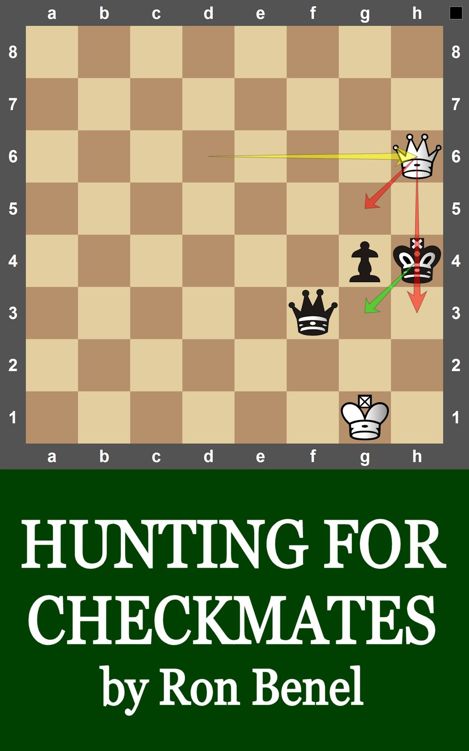 Hunting For Checkmates Chess Training Book 1 Ron Benel Benel