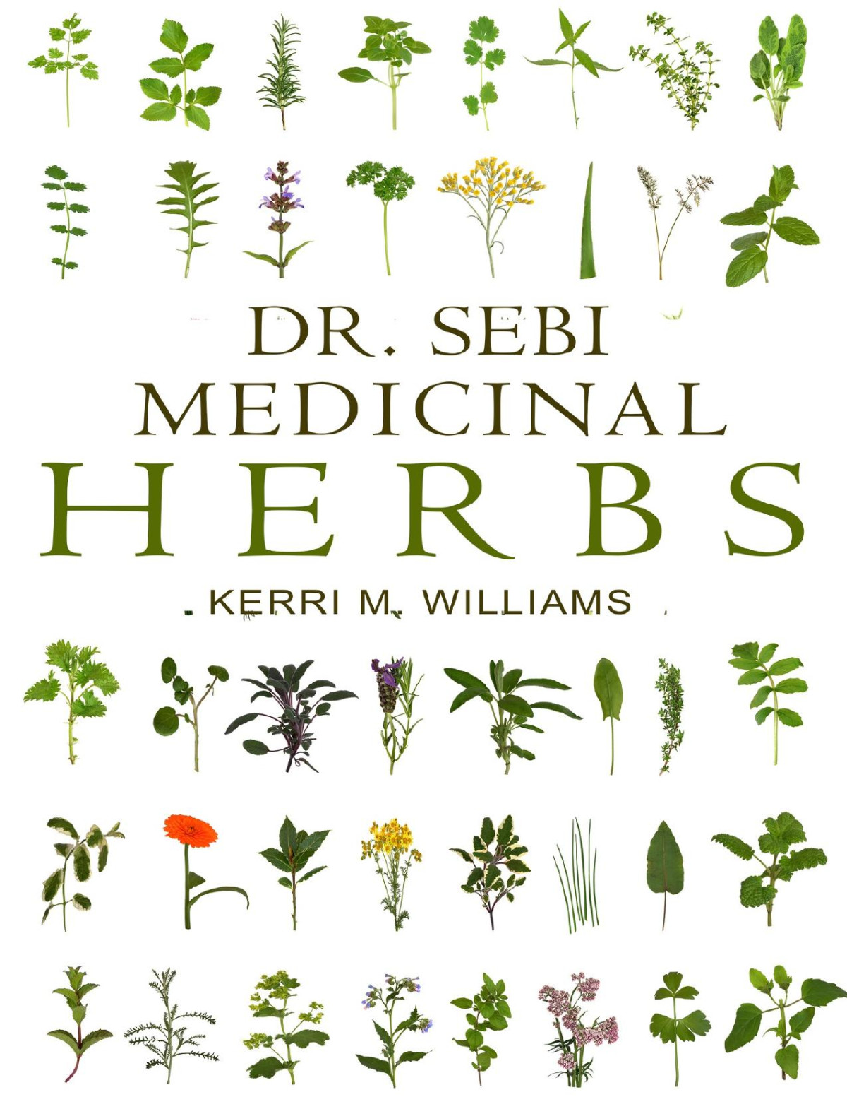 Dr Sebi Medicinal Herbs Kerri M Williams