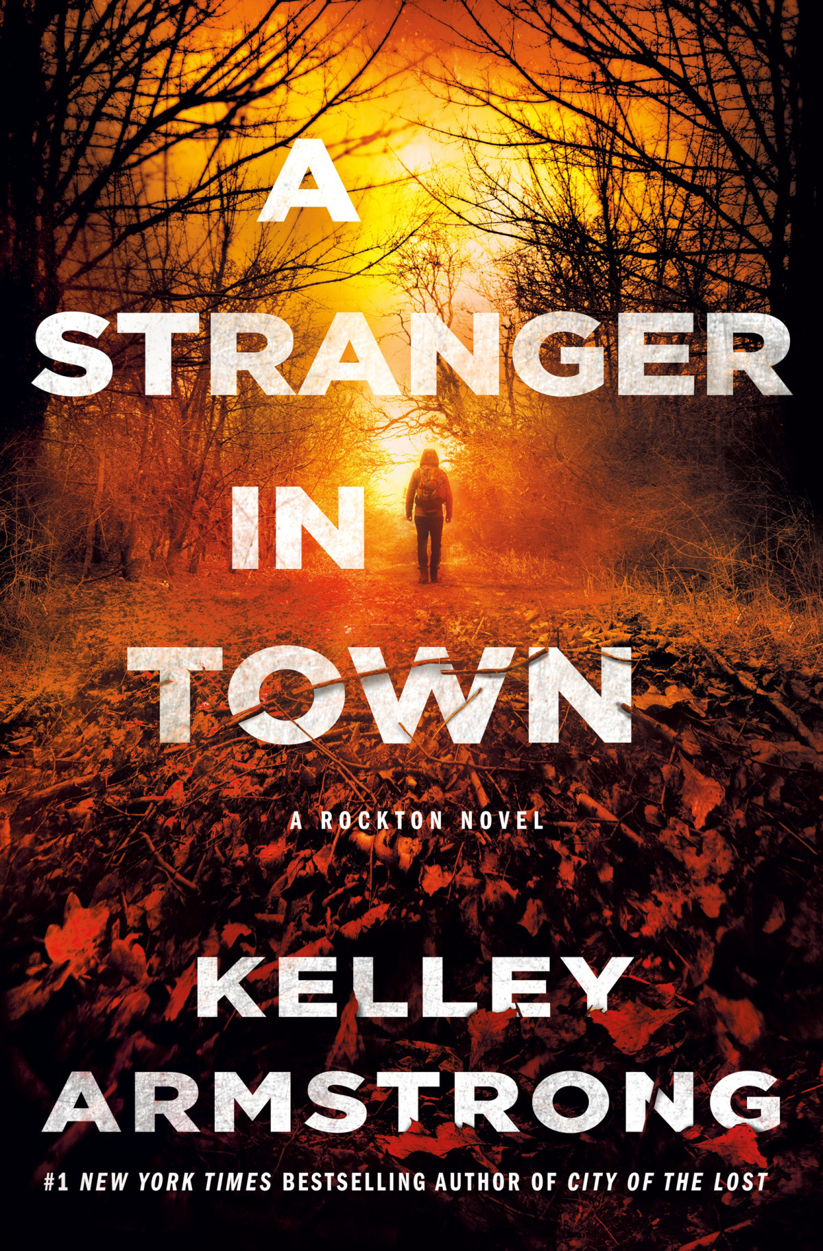 A Stranger In Town Kelley Armstrong