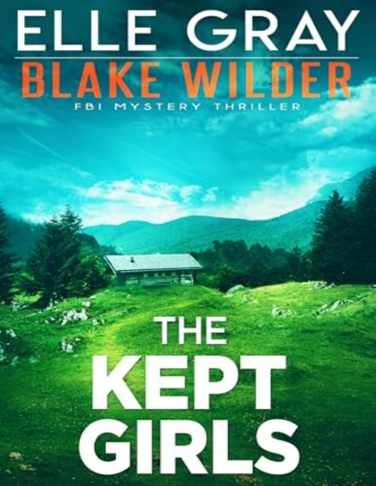 Blake Wilder Fbi Mystery 23 The Kept Girls Elle Gray