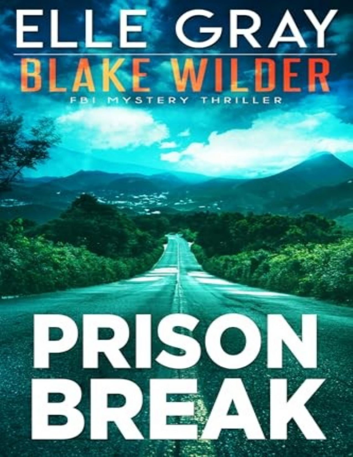 Blake Wilder Fbi Mystery 24 Prison Break Elle Gray