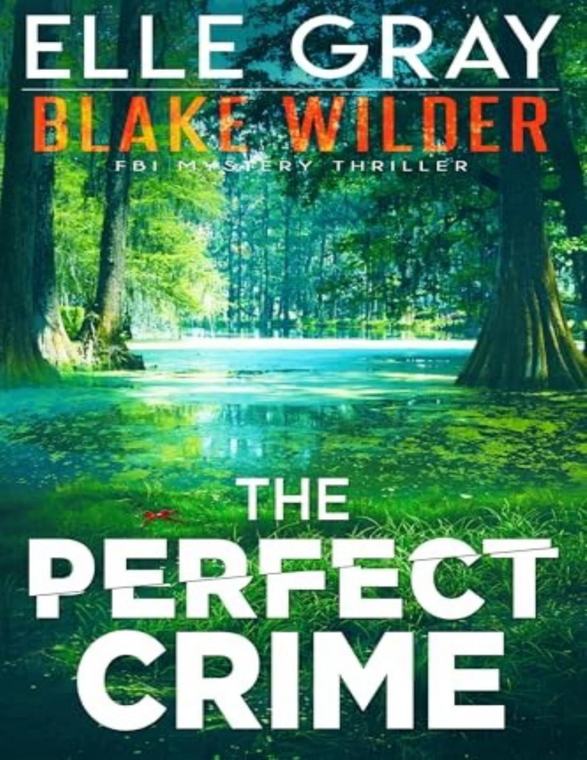 Blake Wilder Fbi Mystery 25 The Perfect Crime Elle Gray
