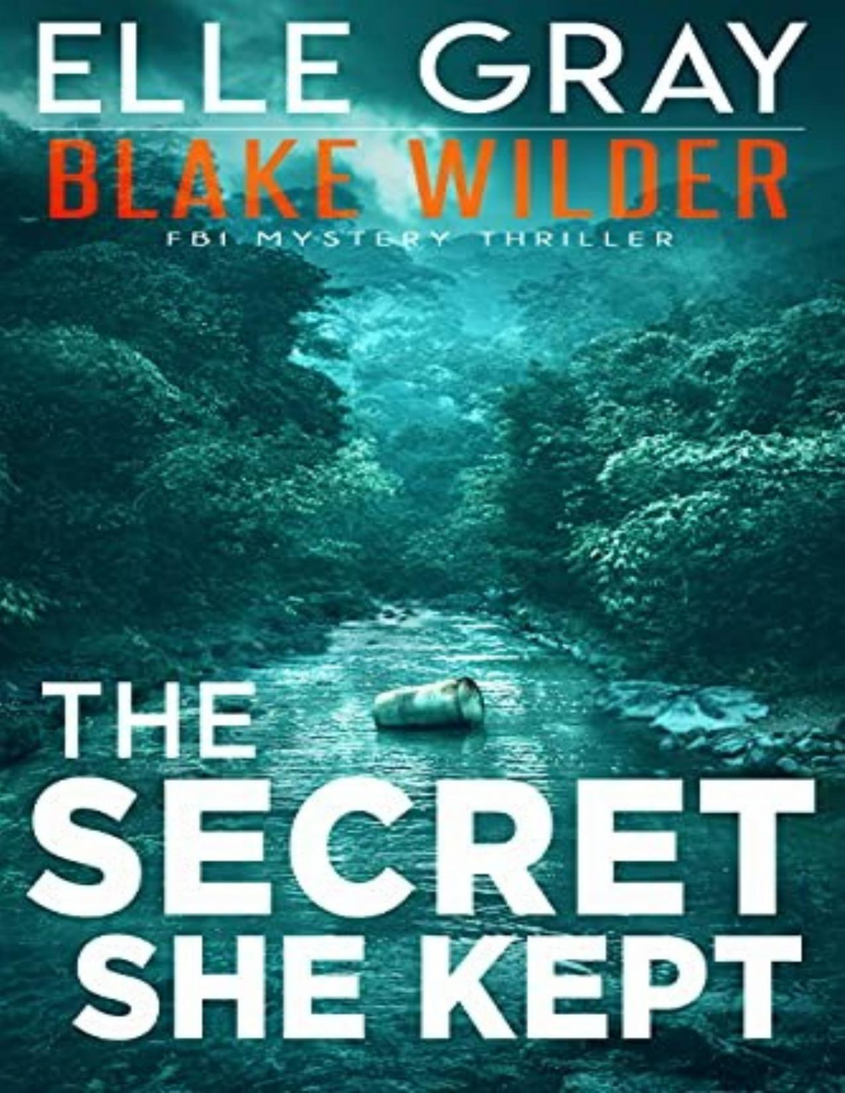 Blake Wilder Fbi Mystery 5 The Secret She Kept Elle Gray