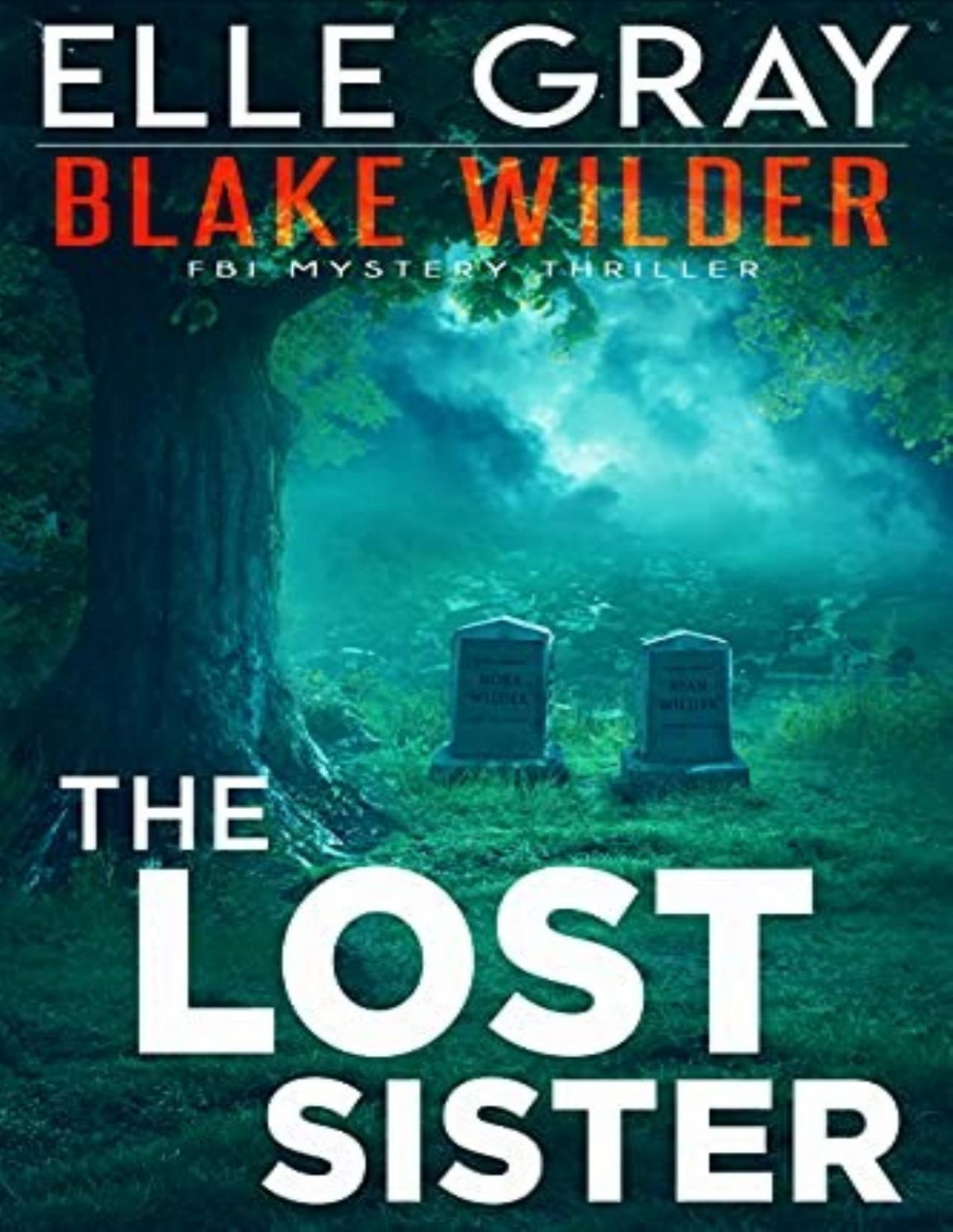 Blake Wilder Fbi Mystery 7 The Lost Sister Elle Gray