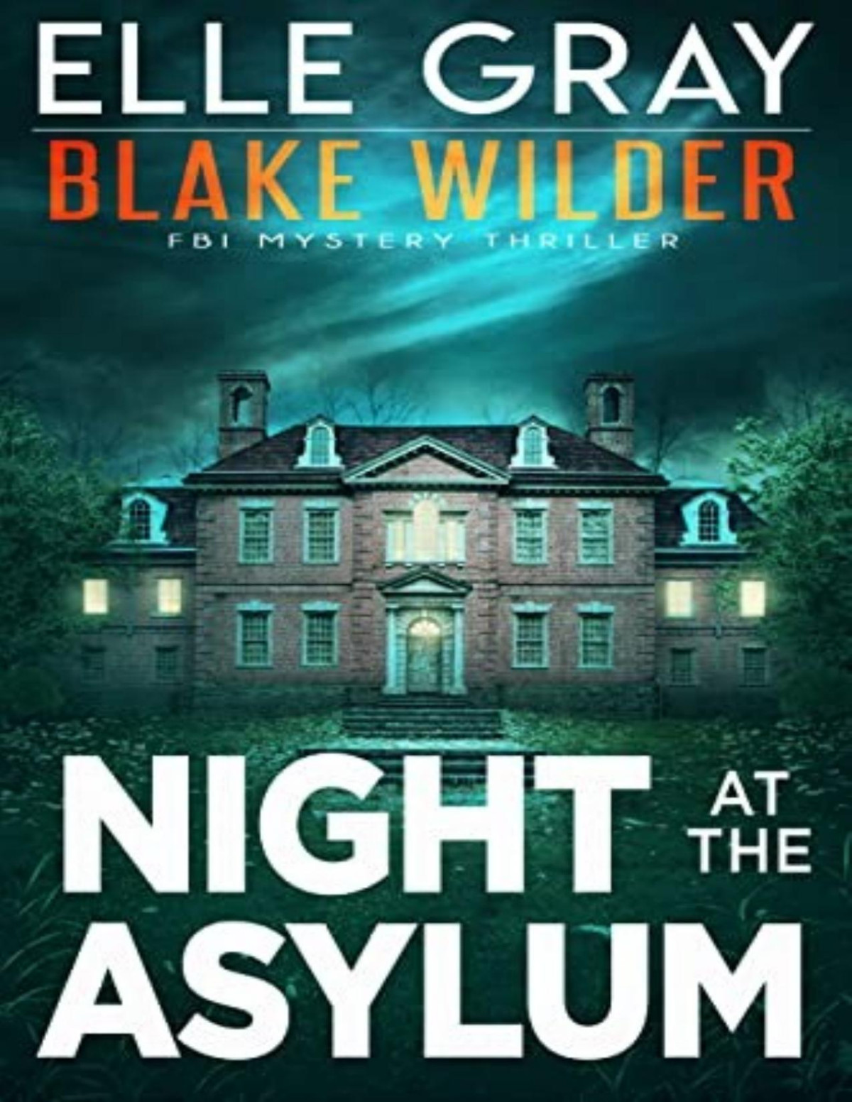 Blake Wilder Fbi Mystery 9 Night At The Asylum Elle Gray