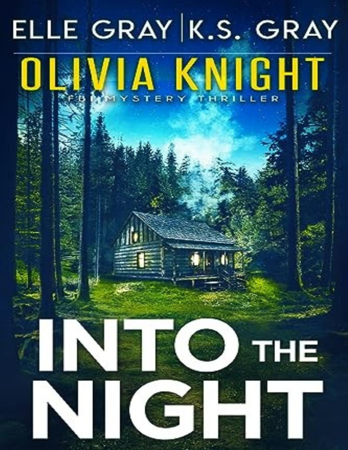 Olivia Knight Fbi Mystery 11 Into The Night Elle Gray K S Gray