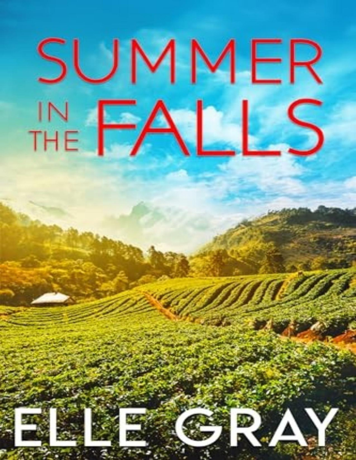 Sweetwater Falls Mystery 9 Summer In The Falls Elle Gray