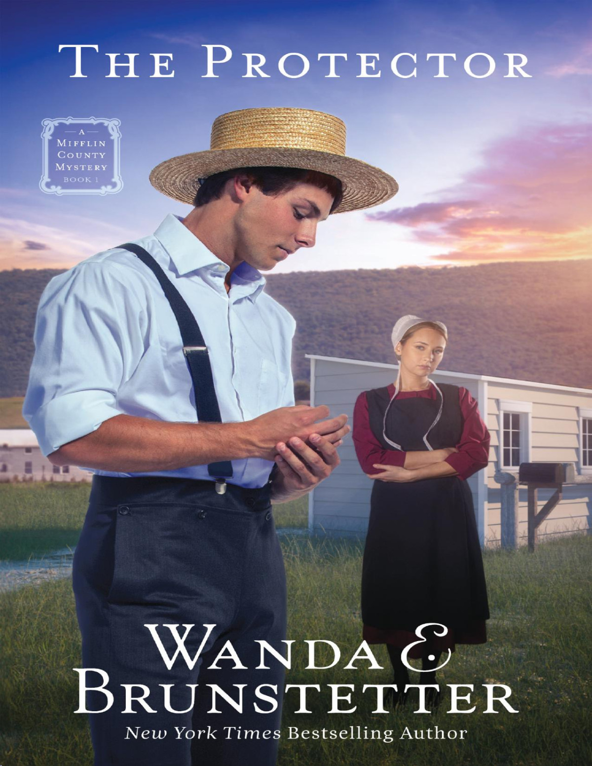 The Protector Wanda E Brunstetter