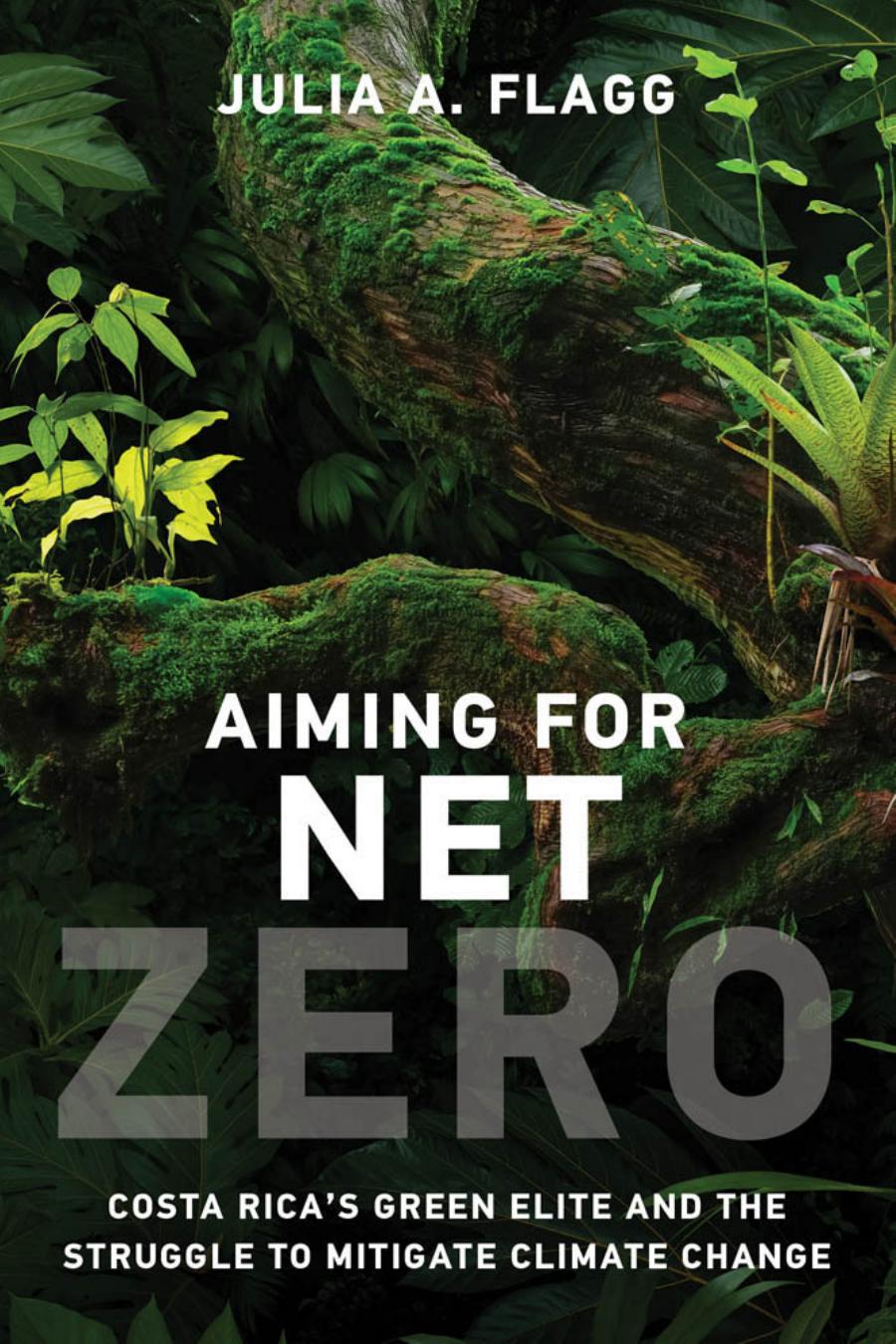 Aiming For Net Zero Flagg Julia A