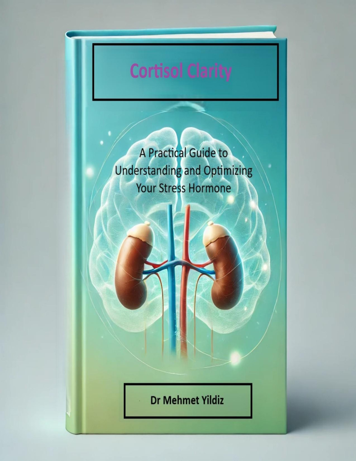 Cortisol Clarity A Practical Guide To Understanding And Optimizing Your Stress Hormone Yildiz