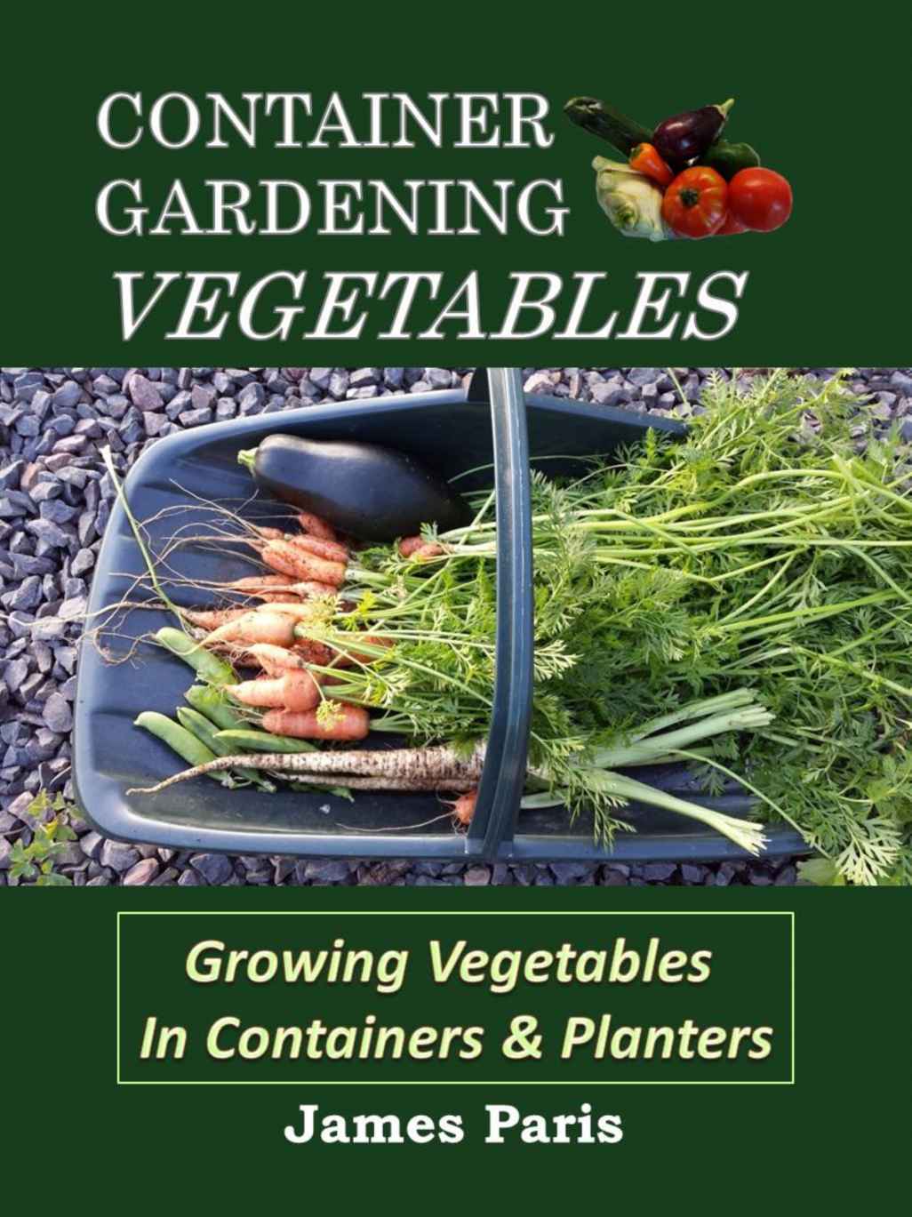 Container Gardening Vegetables Growing Vegetables In Containers And Planters Paris