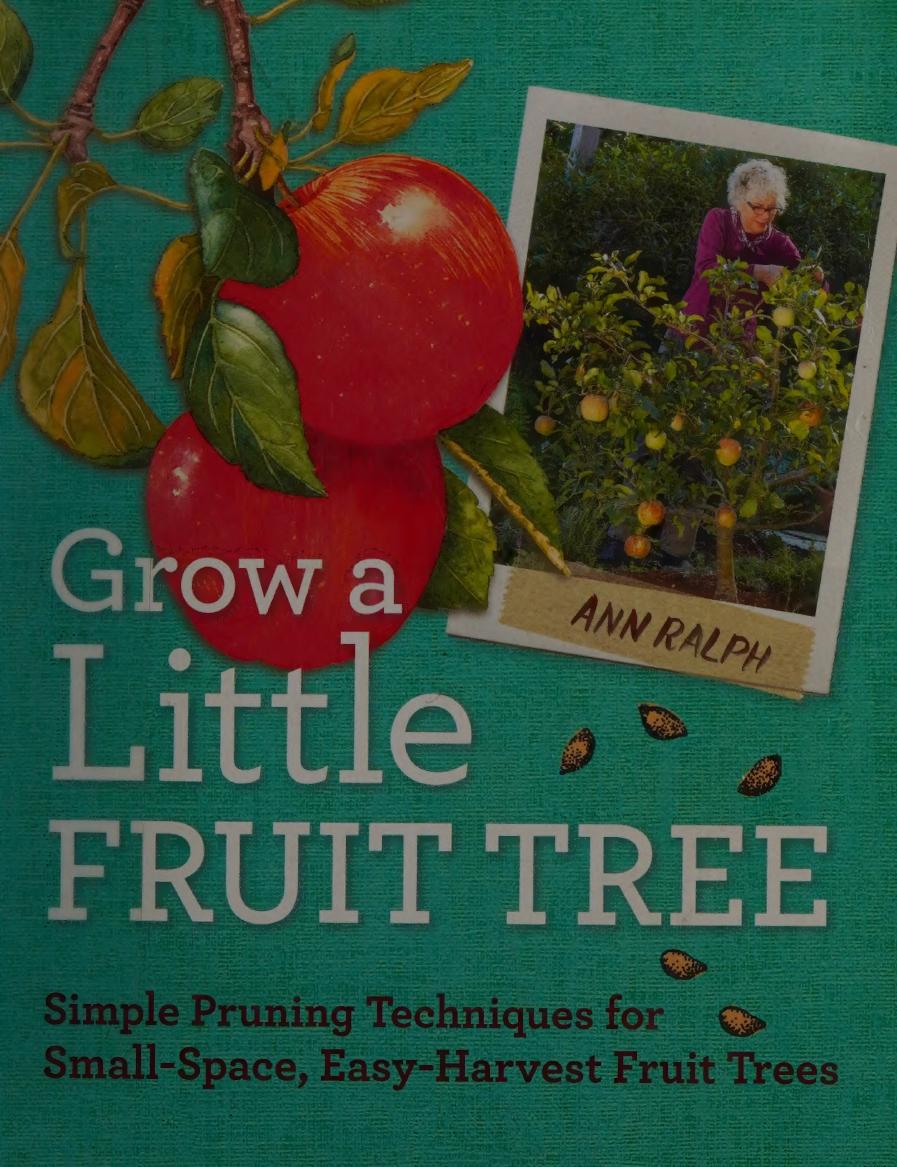 Grow A Little Fruit Tree Simple Pruning Techniques For Smallspace Easyharvest Fruit Trees Ralph