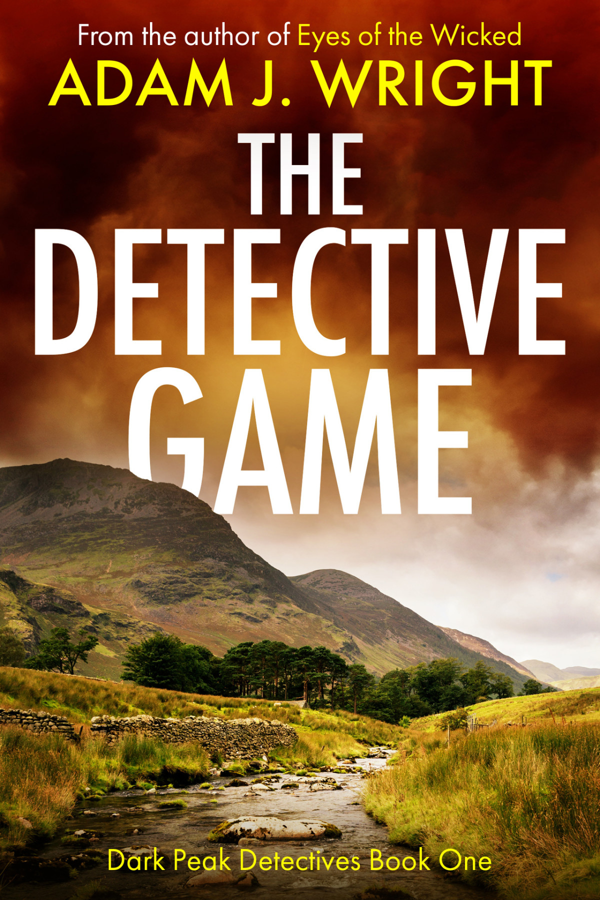 The Detective Game Adam J Wright