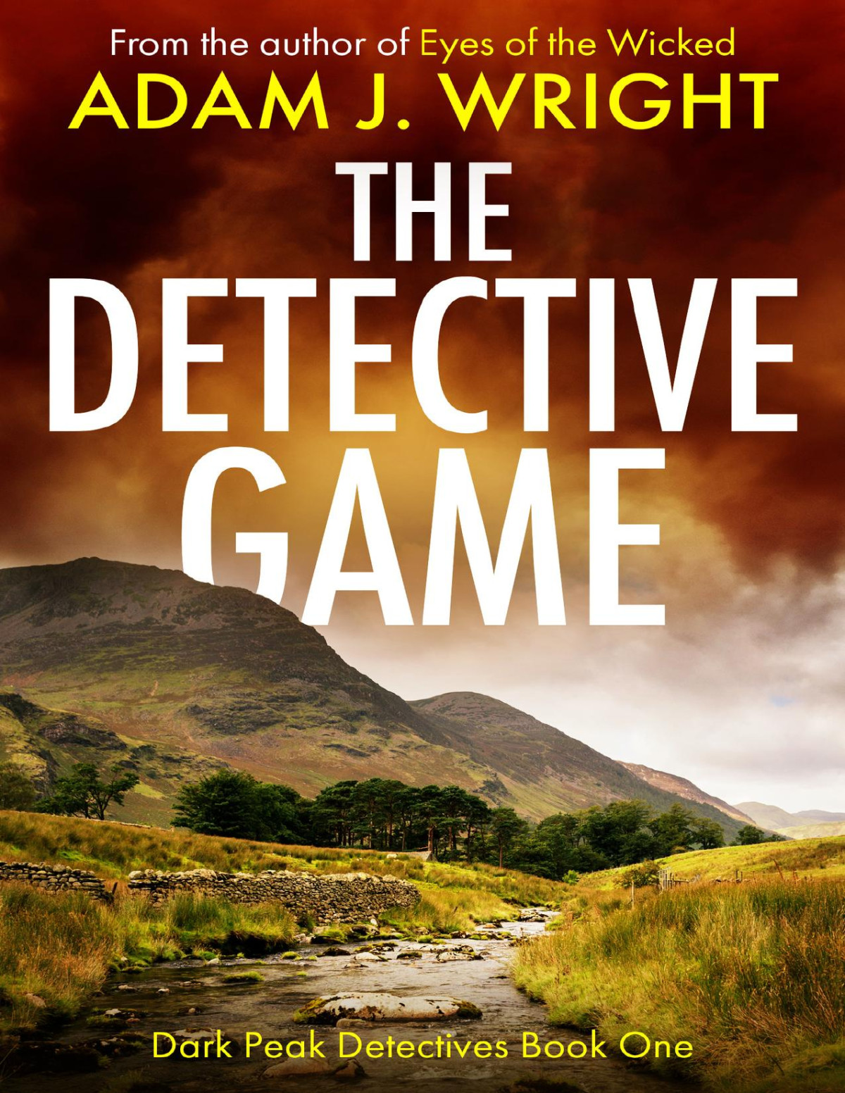 The Detective Game Adam J Wright
