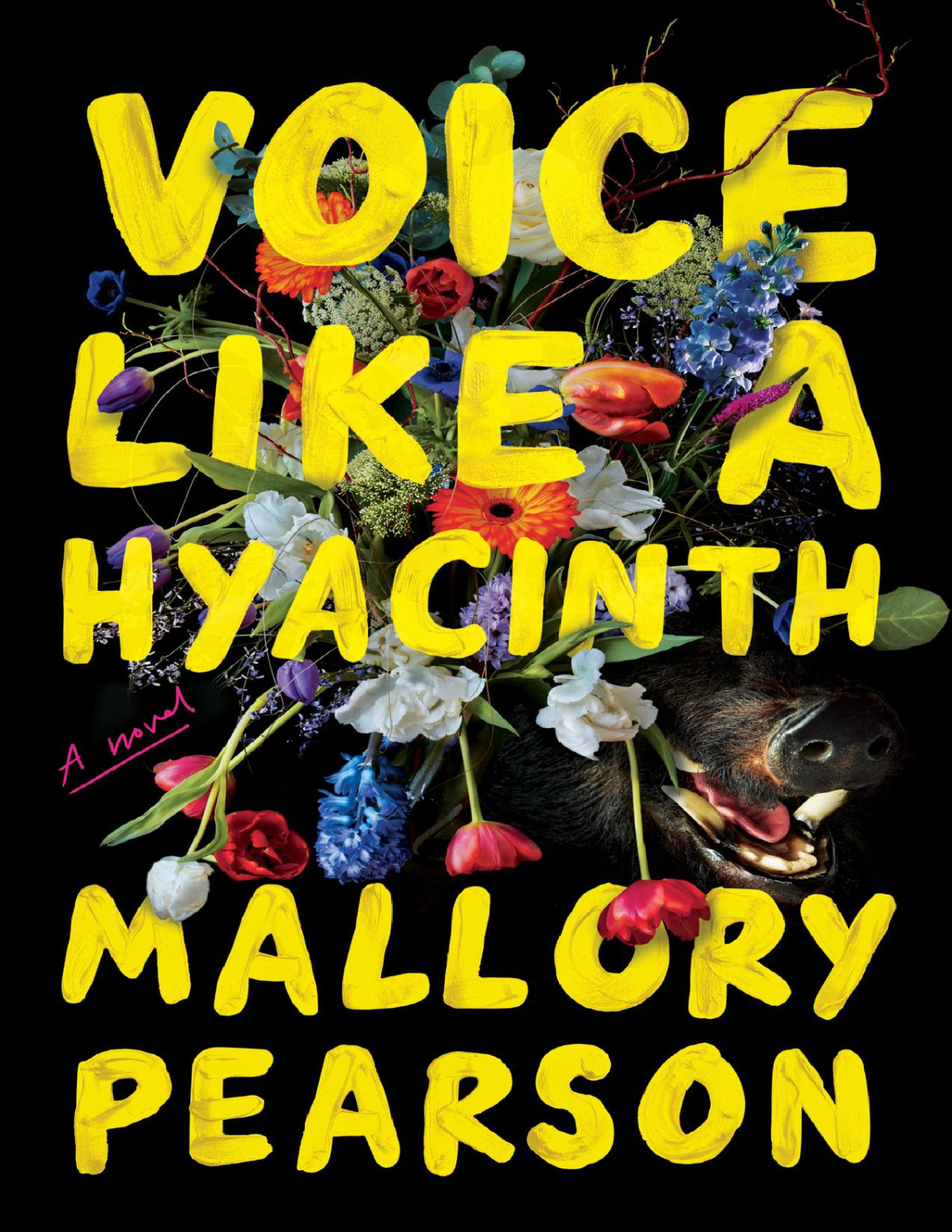 Voice Like A Hyacinth A Novel Mallory Pearson