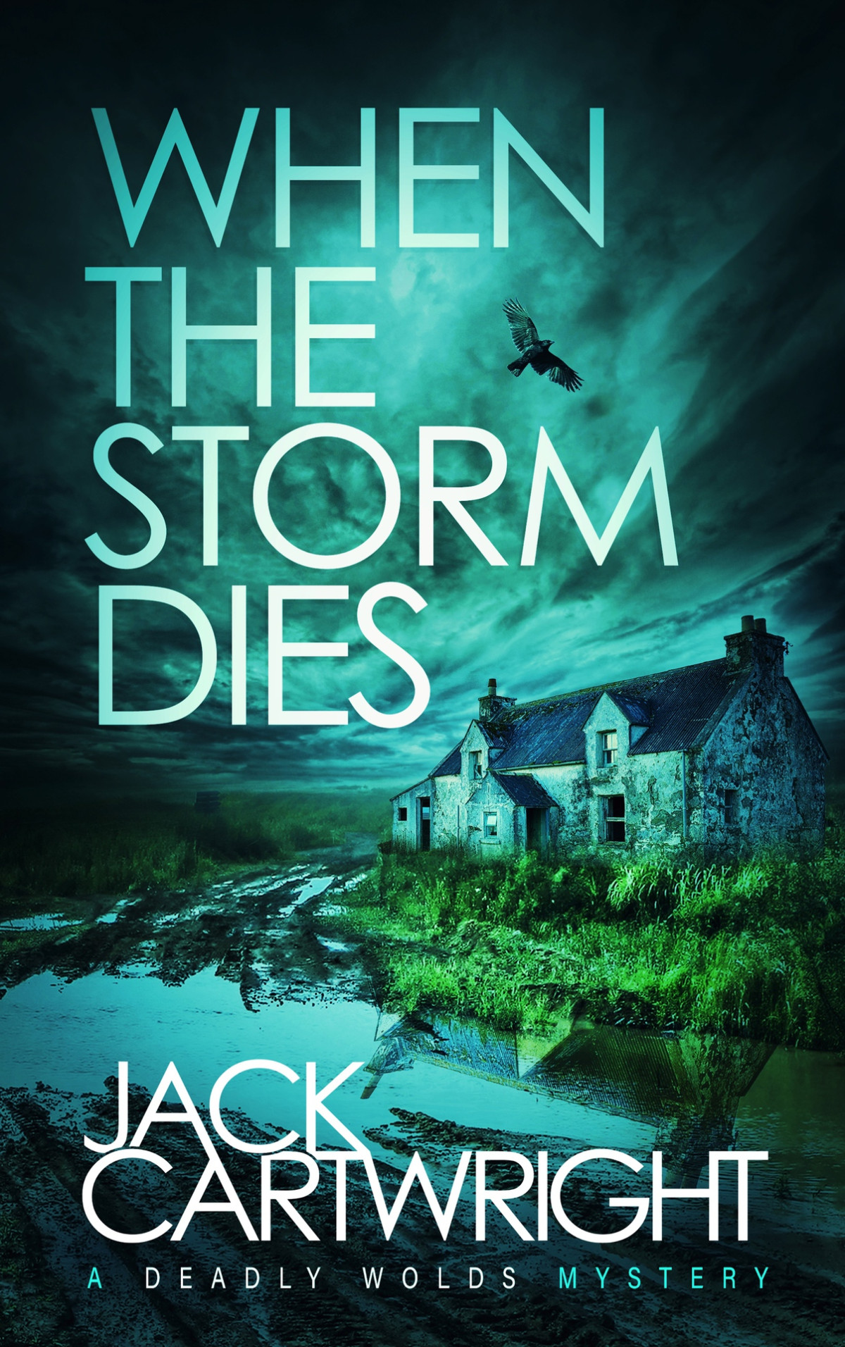 When The Storm Dies 1st Edition Jack Cartwright