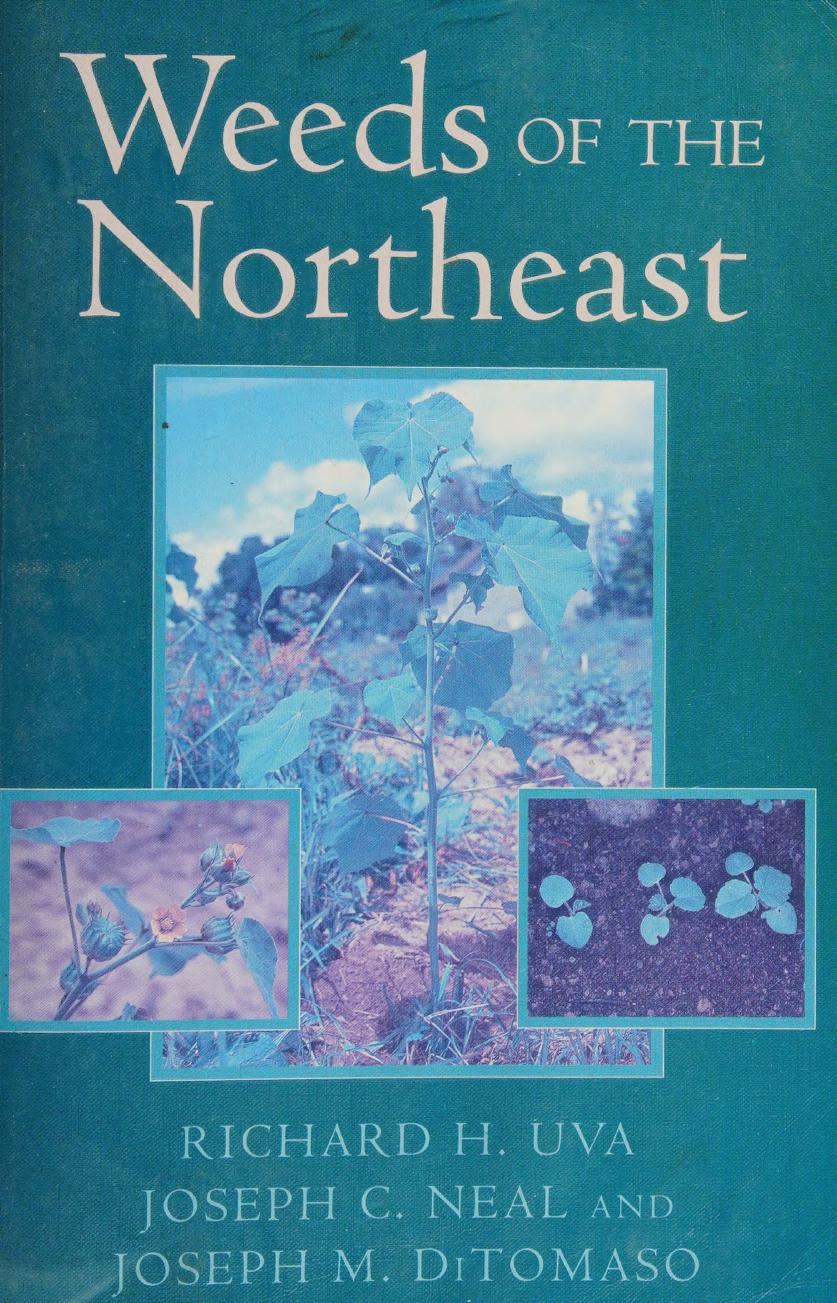 Weeds Of The Northeast Richard H Uva Joseph C Neal Joseph M Ditomaso