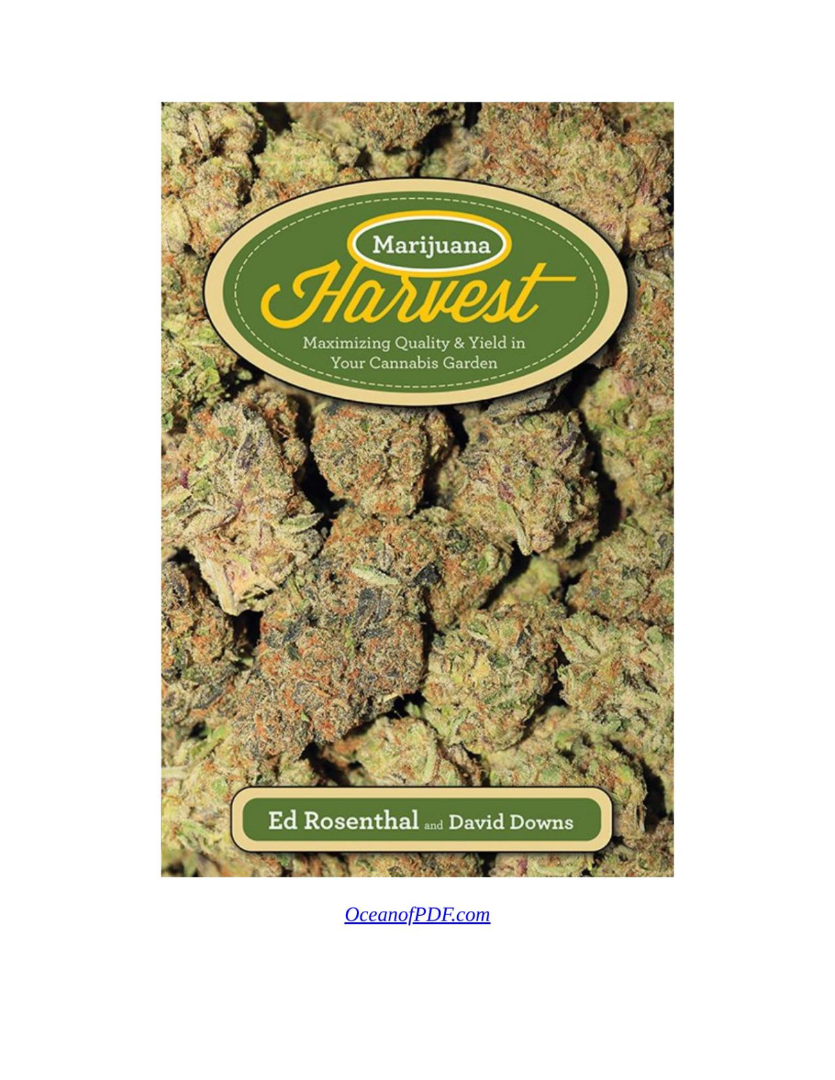 Marijuana Harvest Maximizing Quality Yield In Your Cannabis Garden Ed Rosenthal