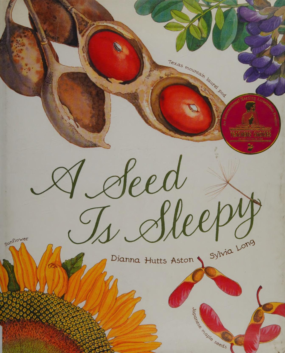 A Seed Is Sleepy Aston Dianna Hutts