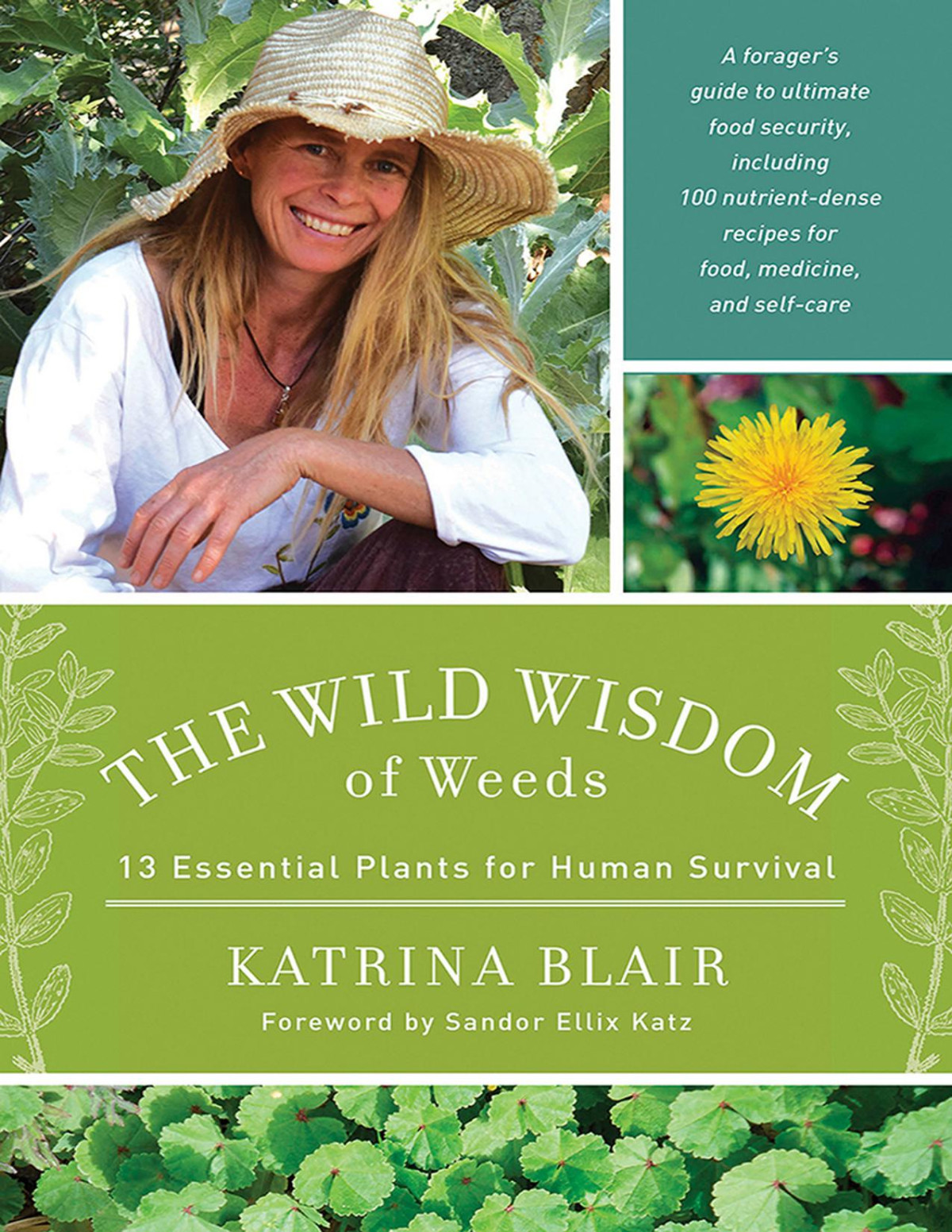The Wild Wisdom Of Weeds13 Plants For Human Survival 1st Katrina Blair