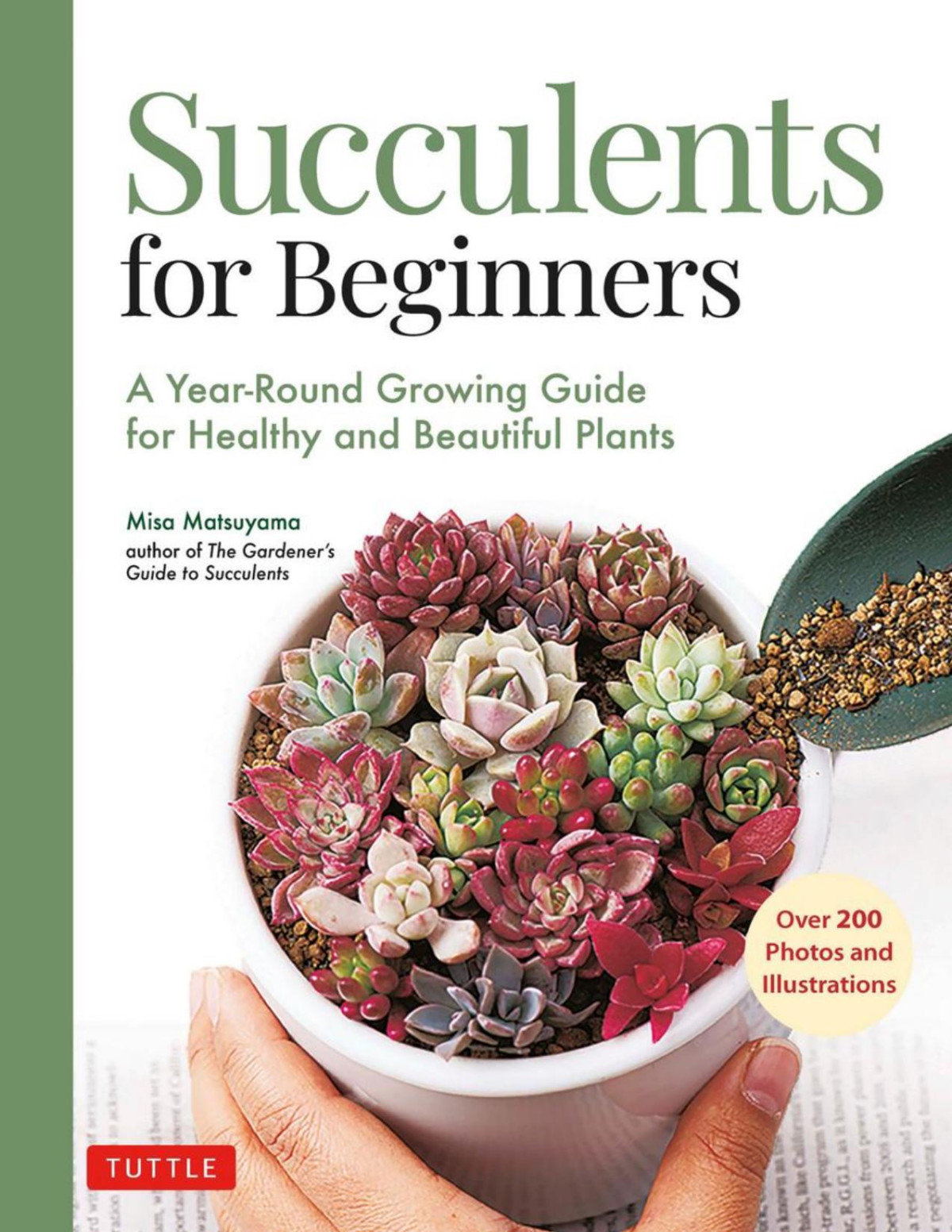 Succulents For Beginners Matsuyama Misa