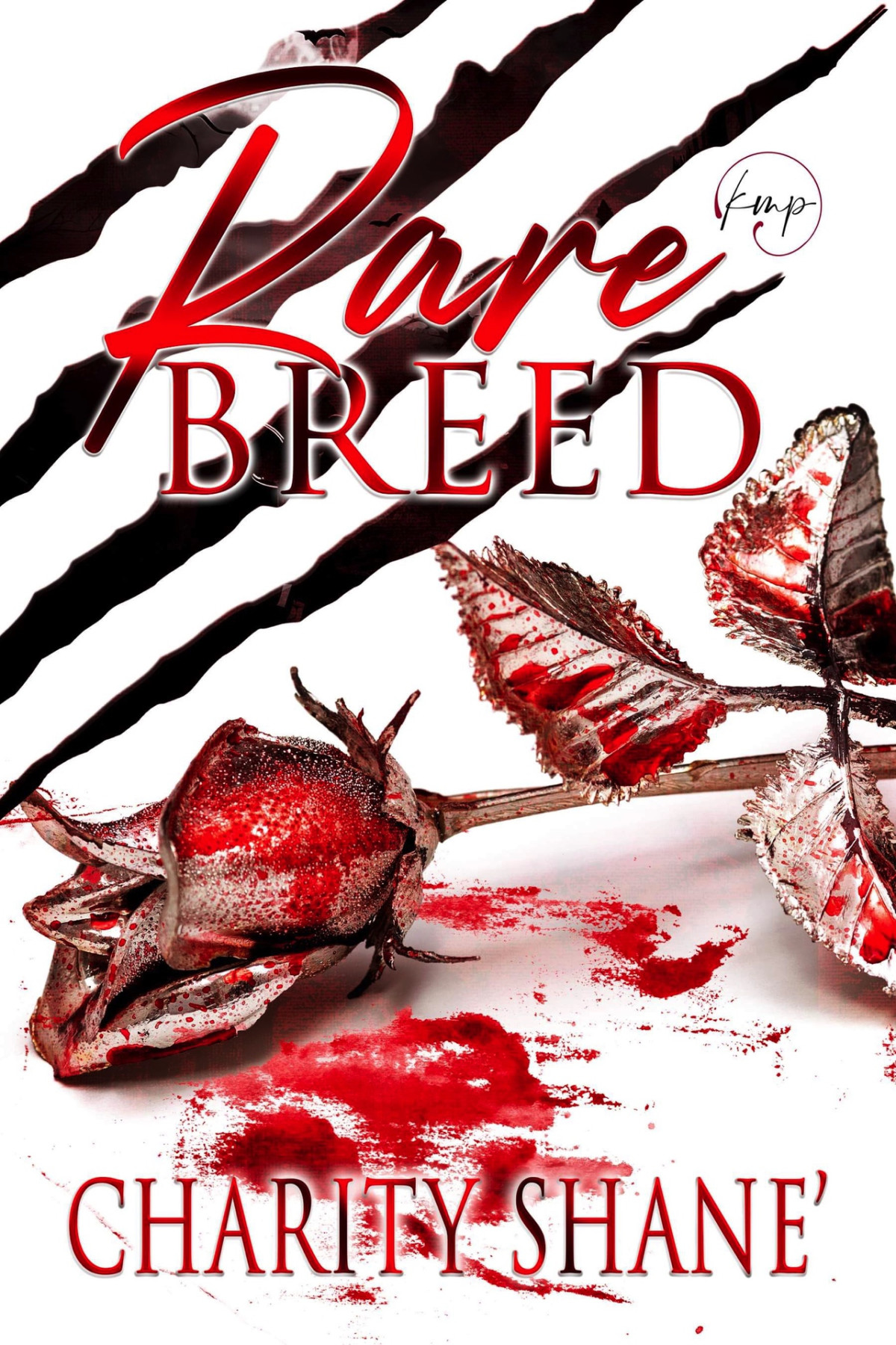 Rare Breed Charity Shane