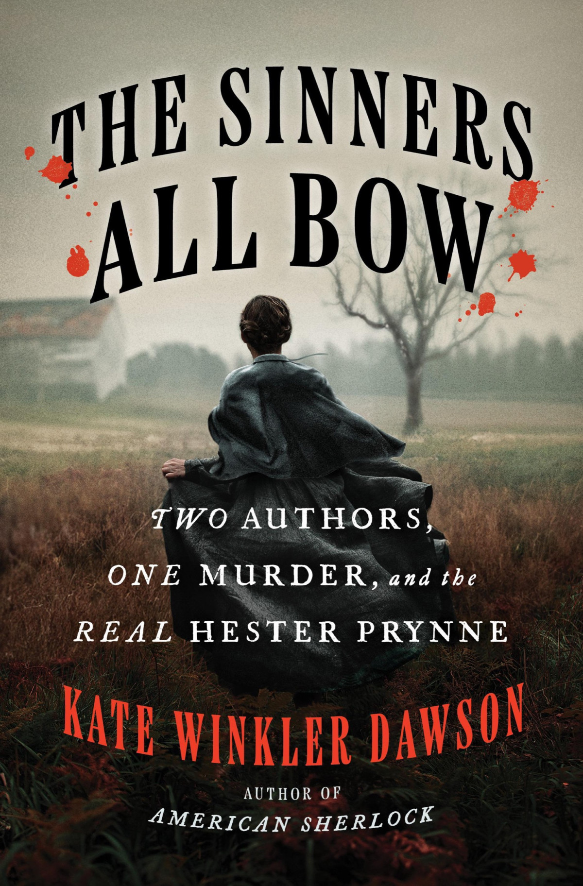 The Sinners All Bow Two Authors One Murder And The Real Hester Prynne Kate Winkler Dawson
