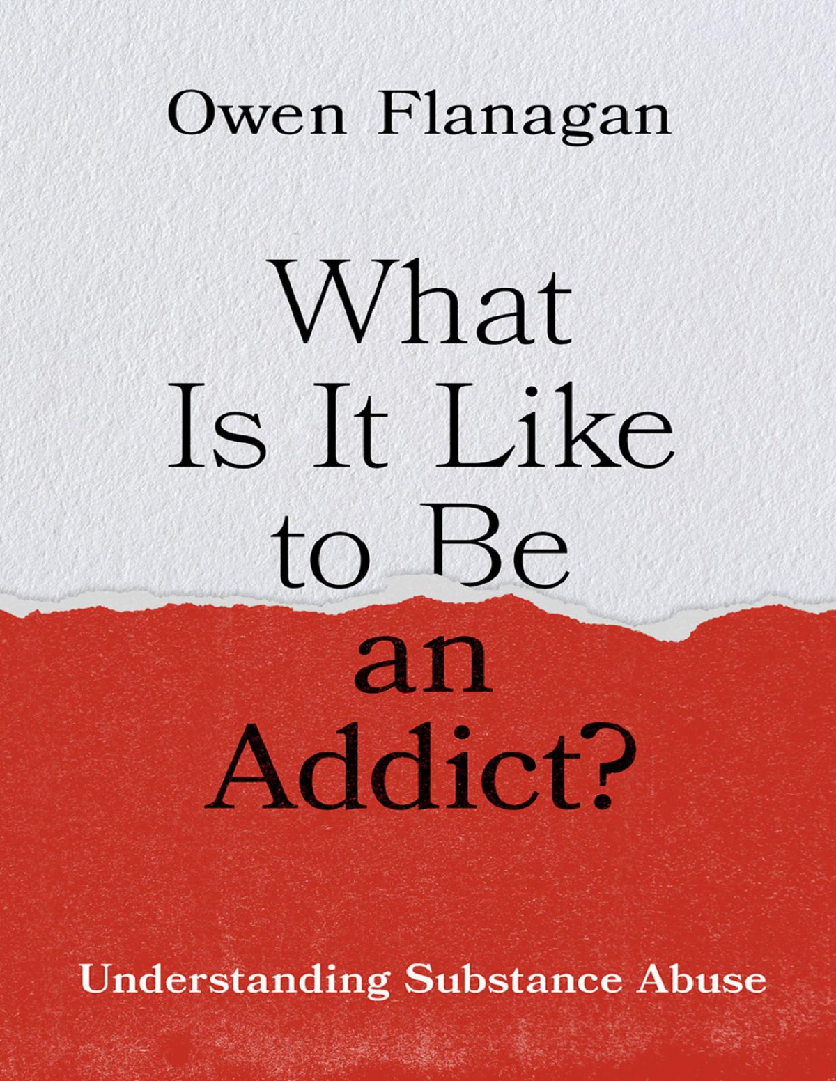 What Is It Like To Be An Addict Owen Flanagan
