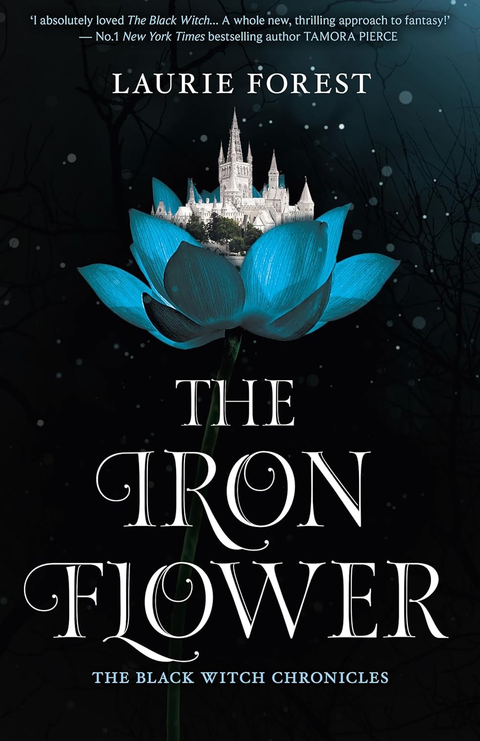The Black Witch Chronicles 02 The Iron Flower Laurie Forest