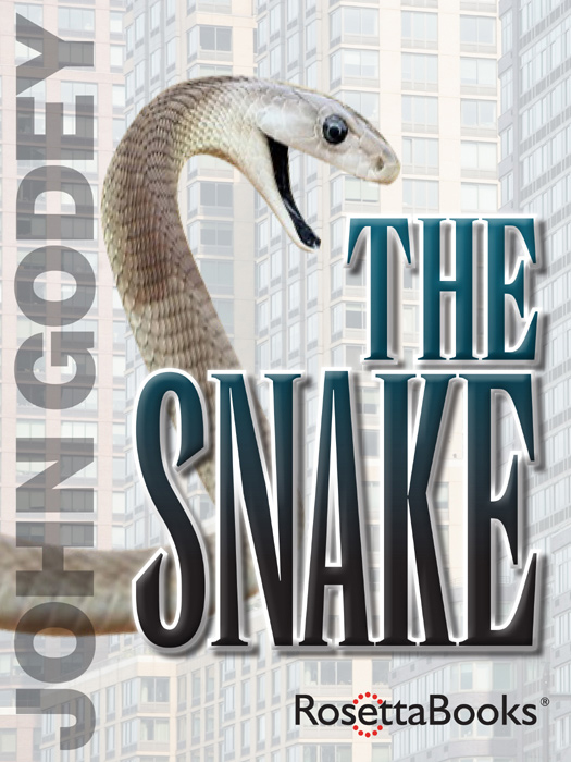 The Snake John Godey