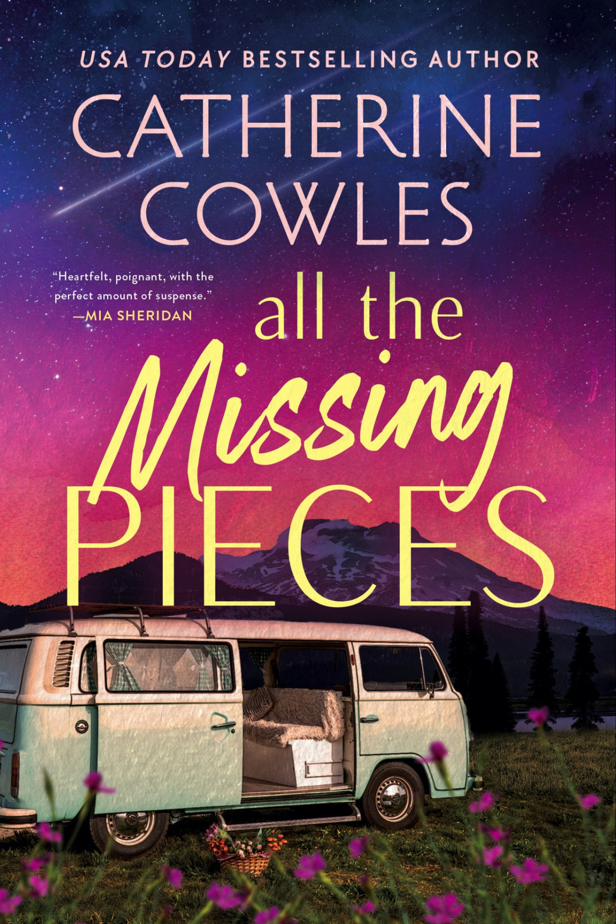 All The Missing Pieces Standard Edition Catherine Cowles