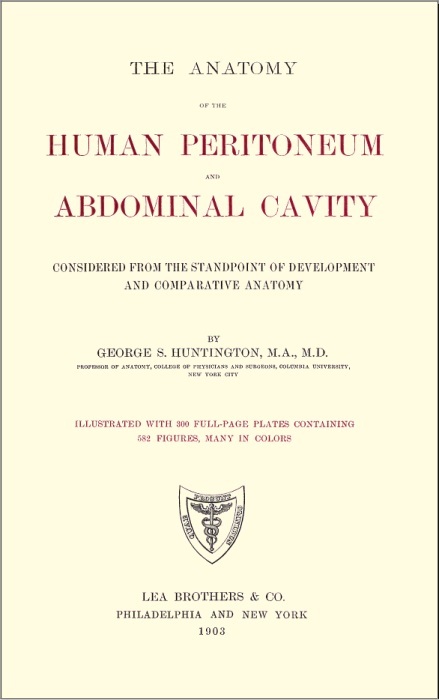 The Anatomy Of The Human Peritoneum And Abdominal Cavity Considered From The Standpoint Of Development And Comparative Anatomy George S Huntington