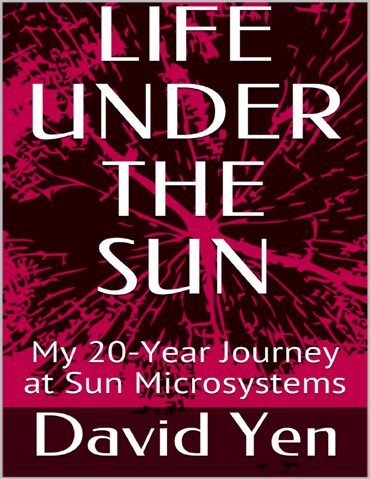 Life Under The Sun My 20year Journey At Sun Microsystems David Yen