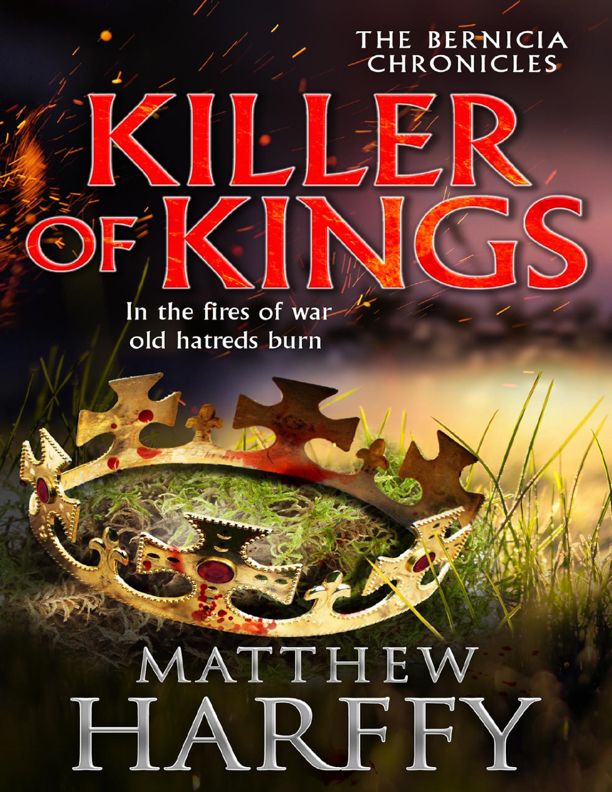 Killer Of Kings Matthew Harffy
