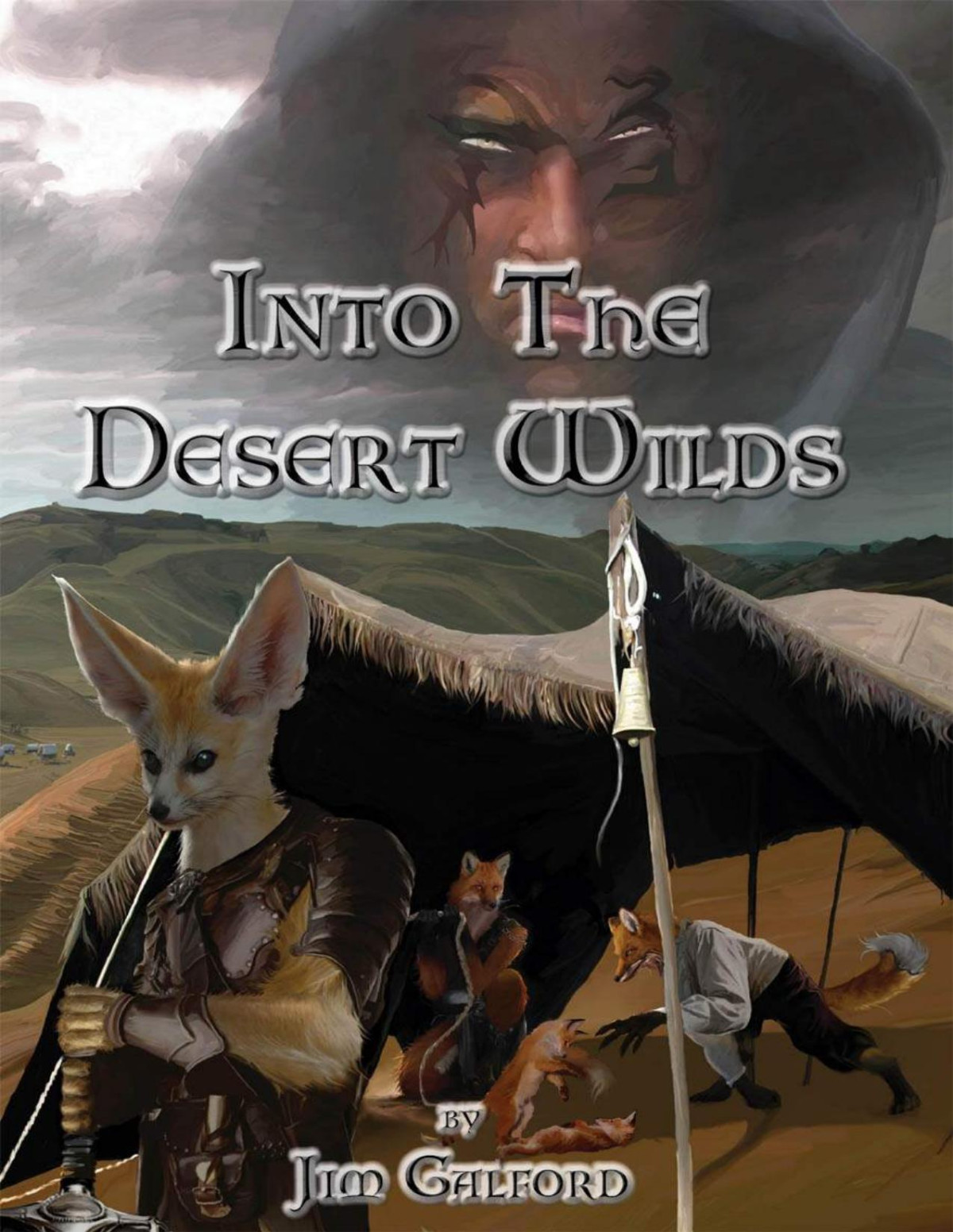 Into The Desert Wilds Jim Galford