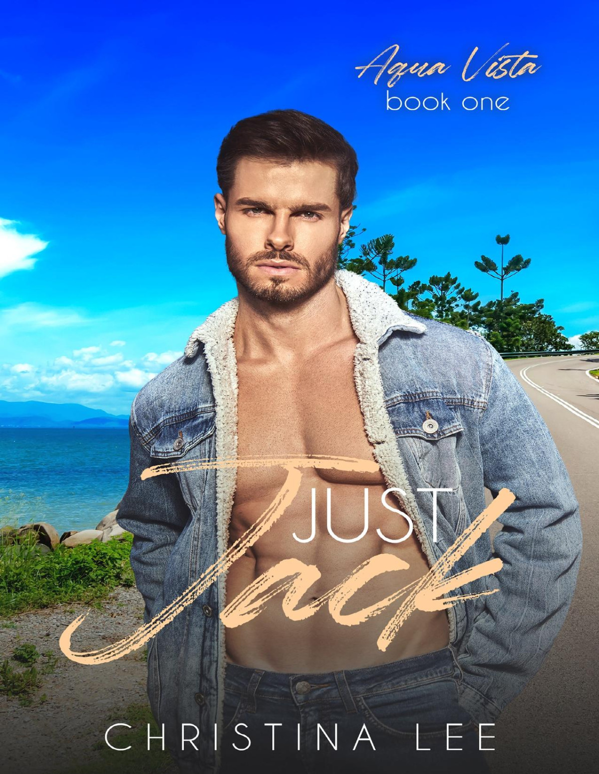 Just Jack Aqua Vista Book 1 Christina Lee