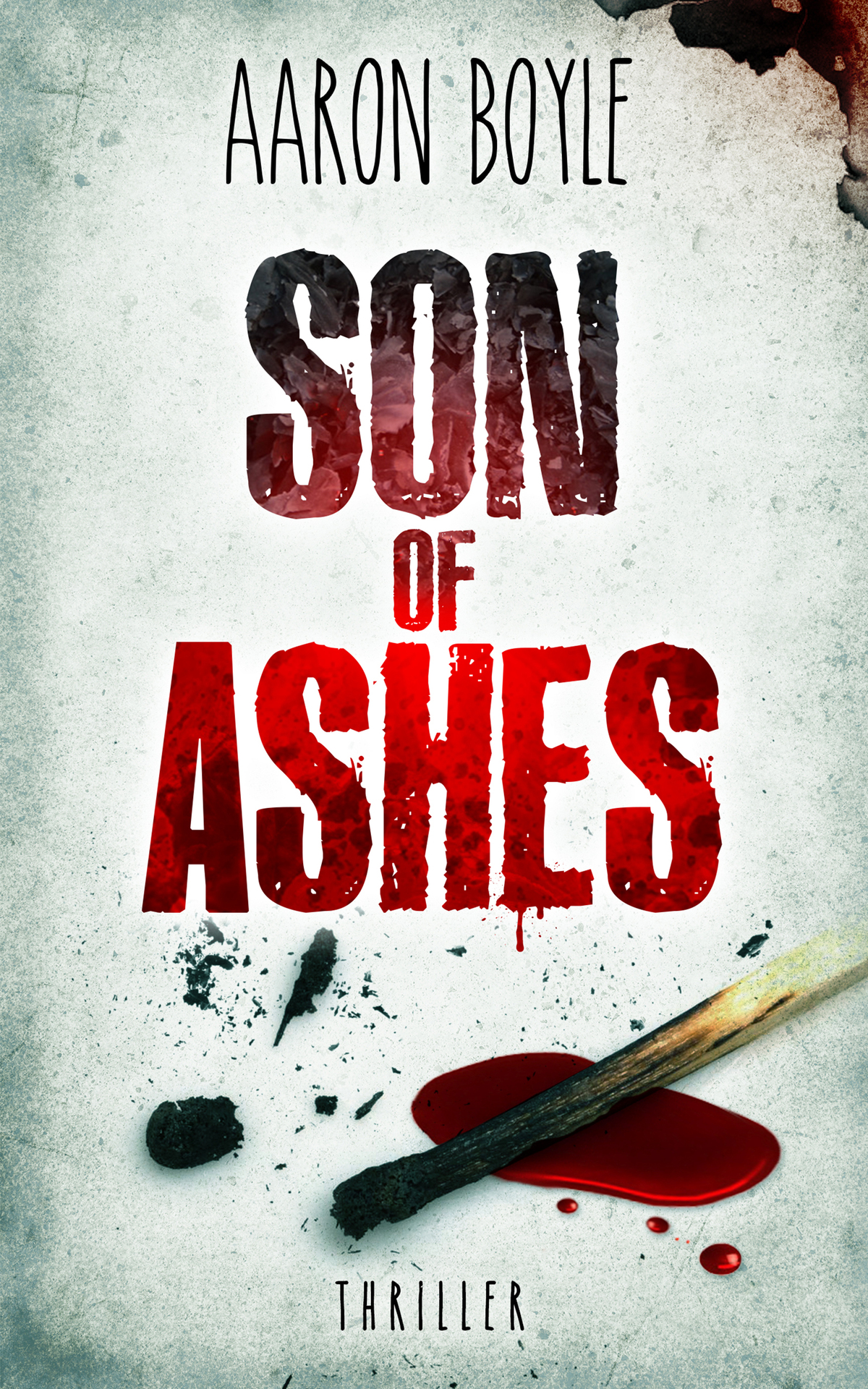 Son Of Ashes A Gripping Cold Case Mystery With A Mindblowing Twist 1st Edition Aaron Boyle