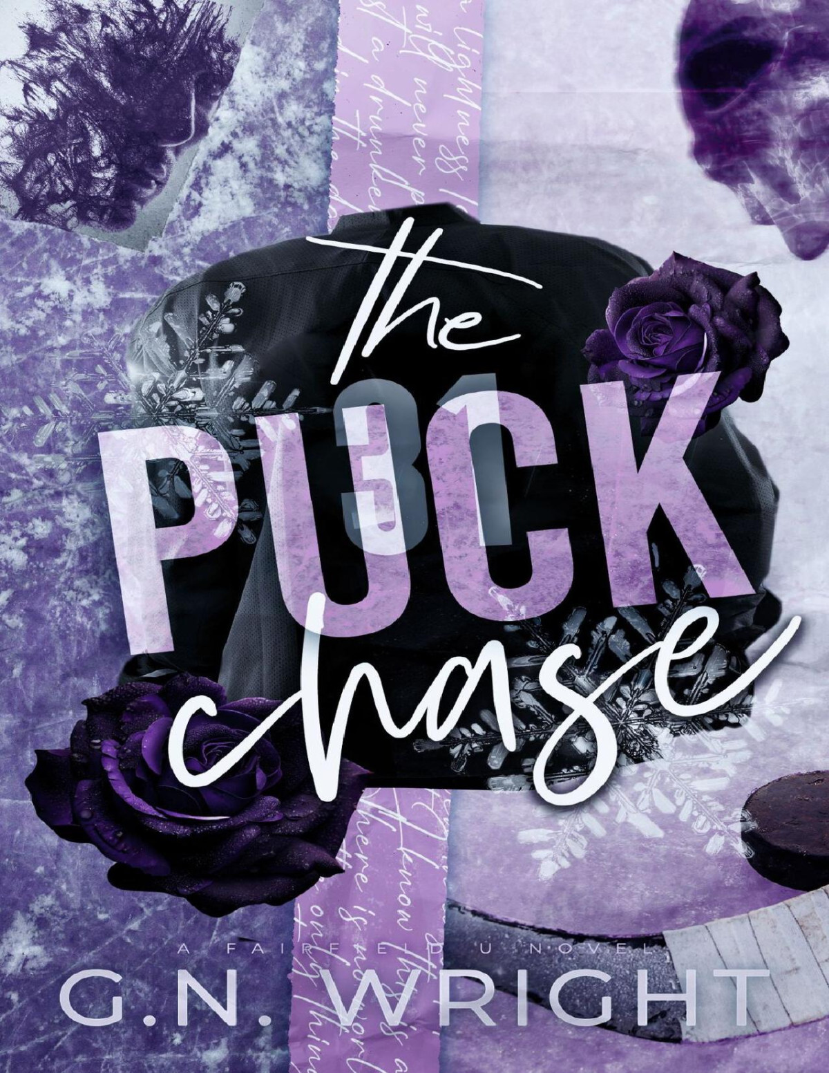 The Puck Chase Fairfield U Book 3 Gn Wright