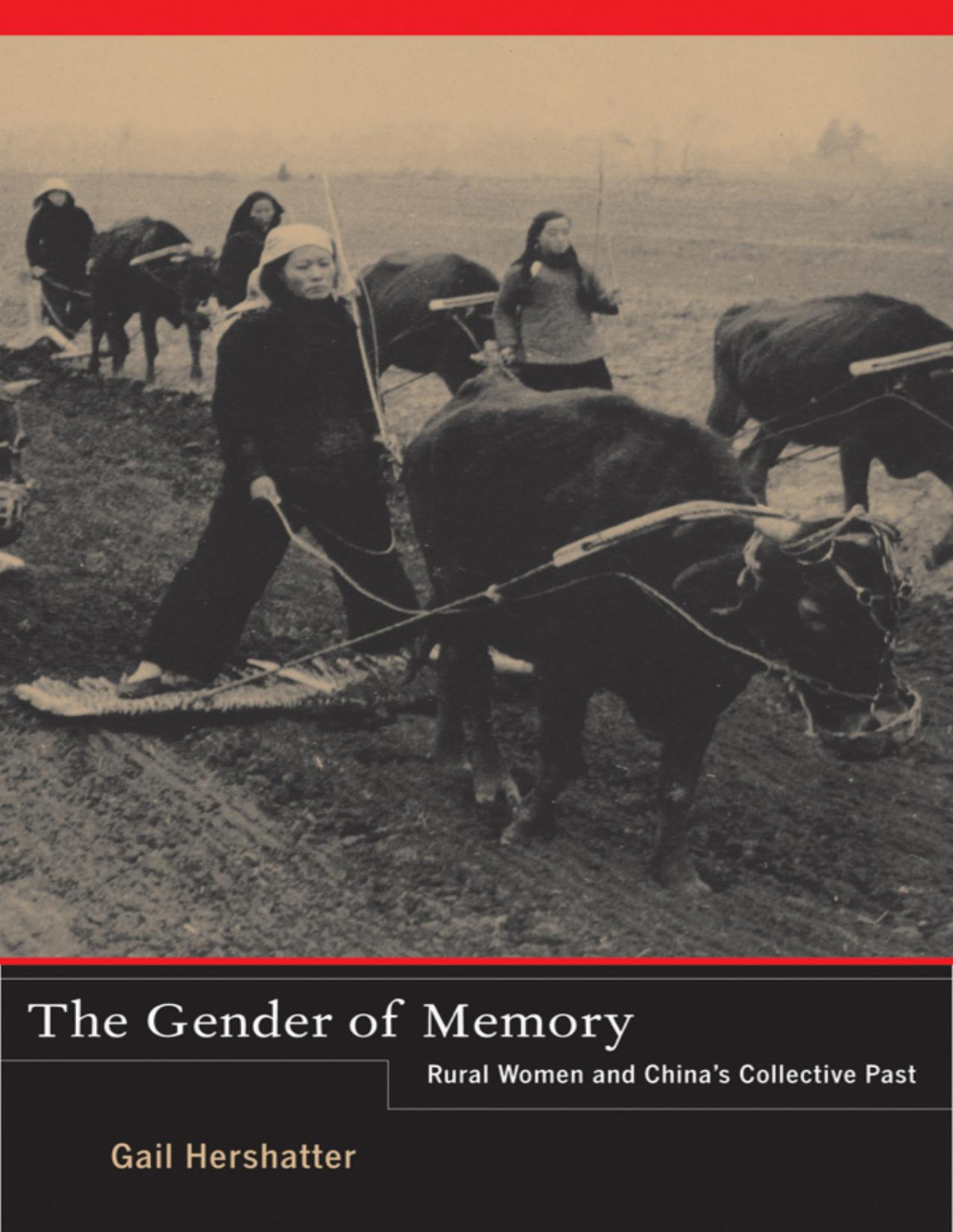 The Gender Of Memory Gail Hershatter