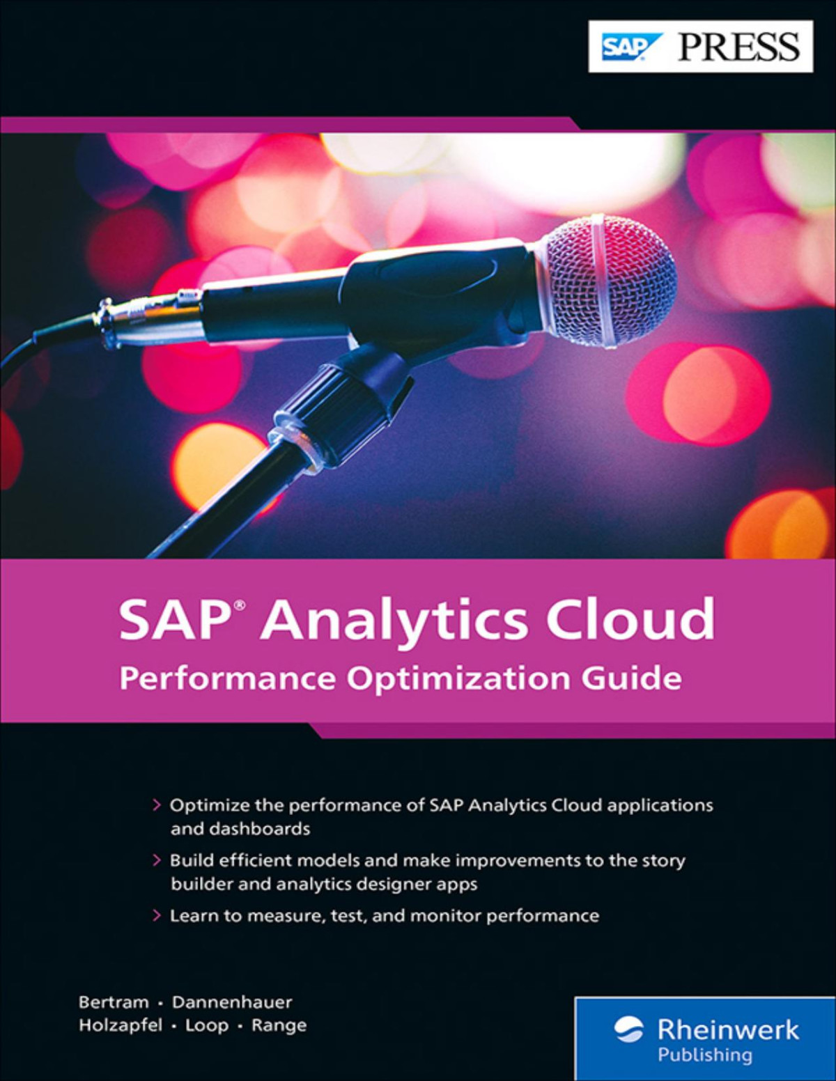 Sap Analytics Cloud Performance Optimization Guide Erik Bertram