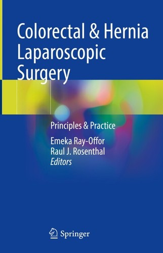 Colorectal Hernia Laparoscopic Surgery Principles Practice 2nd Edition Emeka Rayoffor