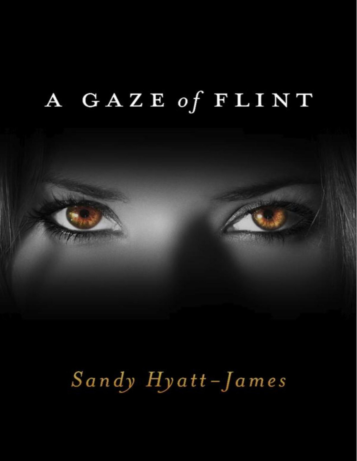 A Gaze Of Flint Sandy Hyattjames