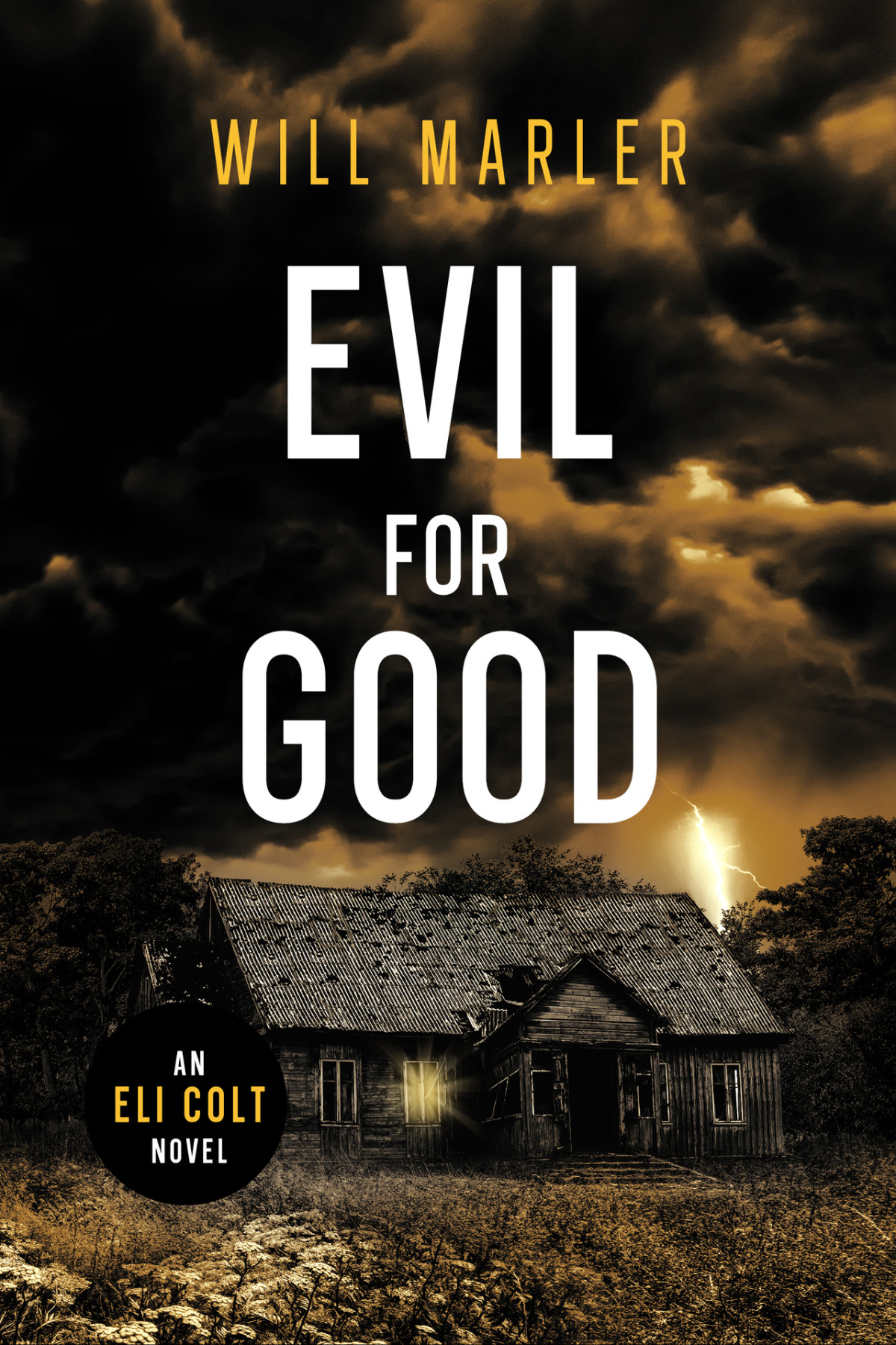 Evil For Good An Eli Colt Novel Will Marler