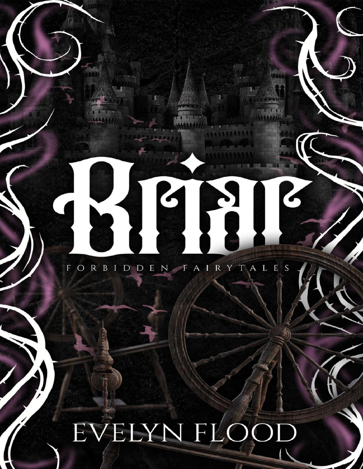 Briar Forbidden Fairytales Book 4 1st Edition Evelyn Flood